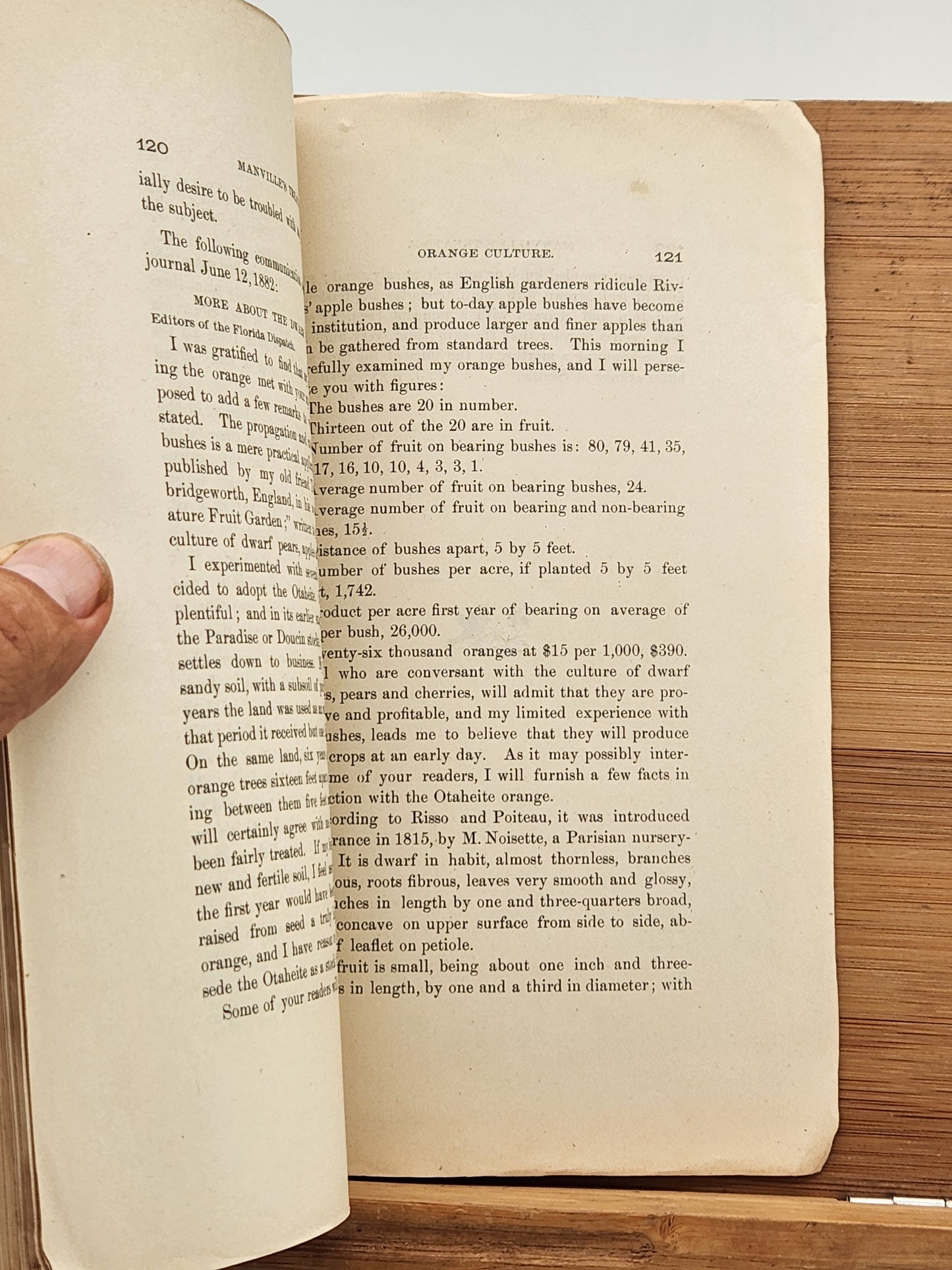 1883 edition of Manville's Practical Orange Culture