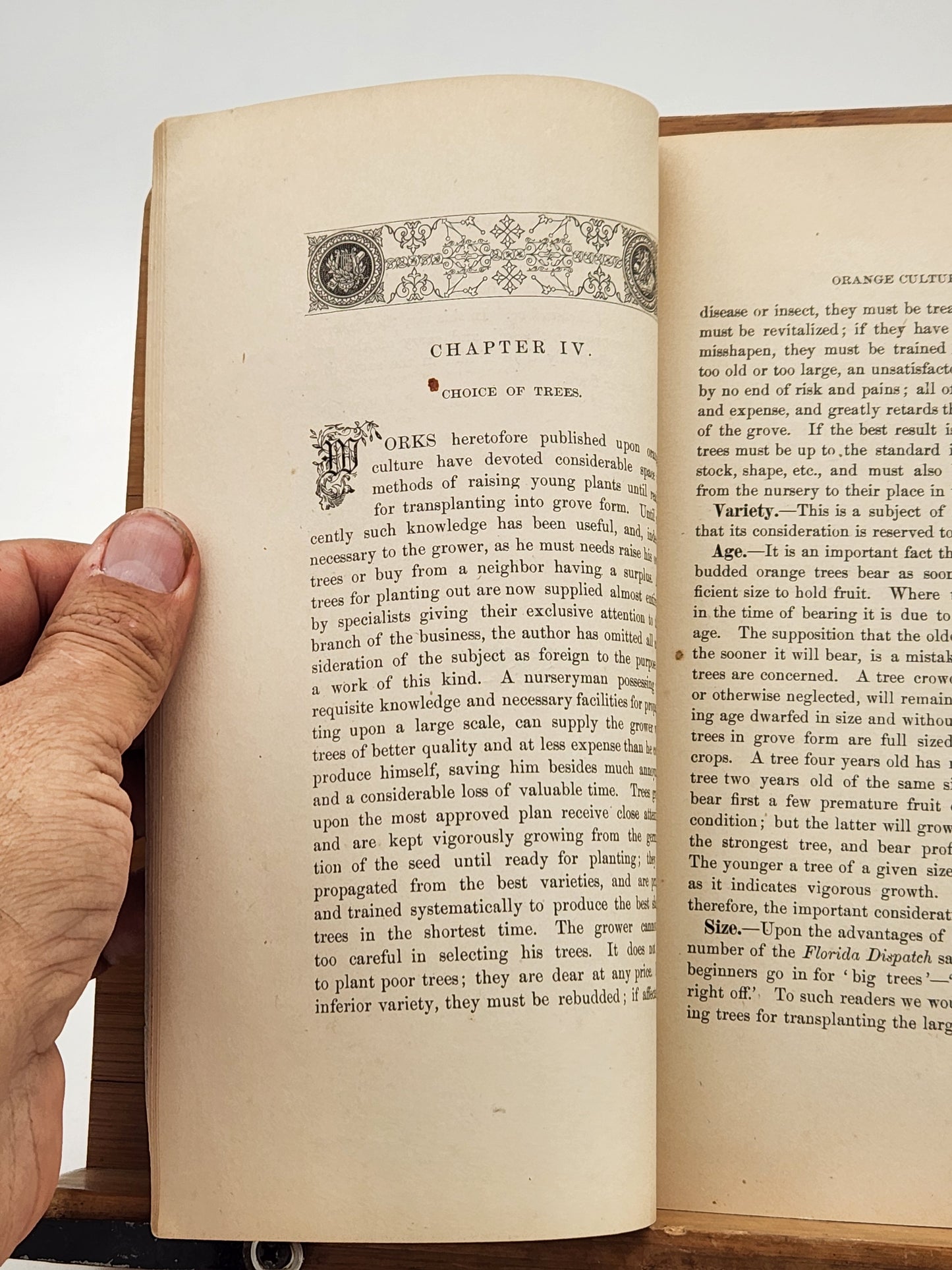1883 edition of Manville's Practical Orange Culture