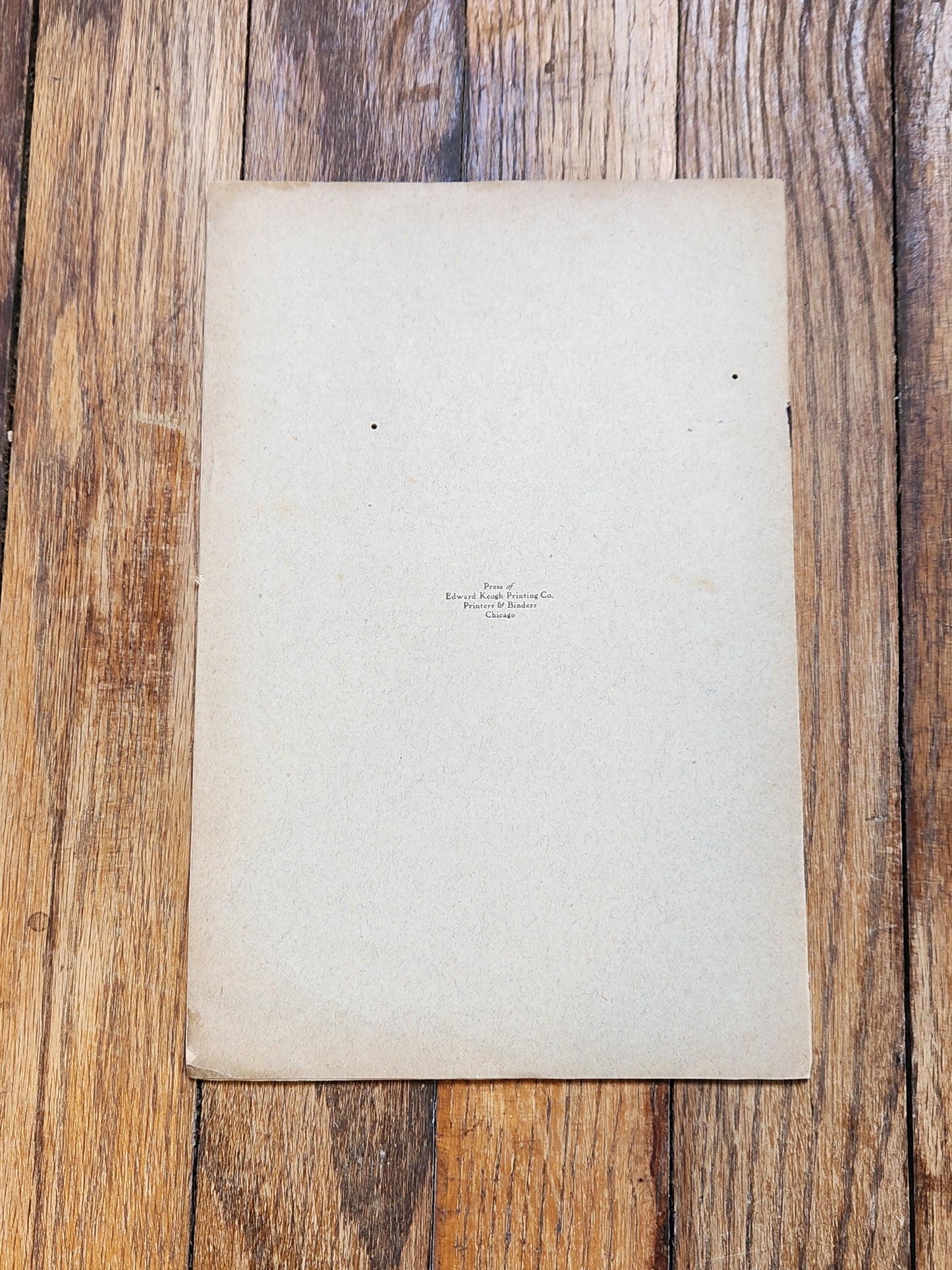Antique 1890s Pamphlet – The Present Aspect of the Mississippi River Problem by Robert S. Taylor – Rare Historical Booklet