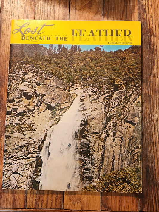 Lost Beneath the Feather by Bill Talbitzer