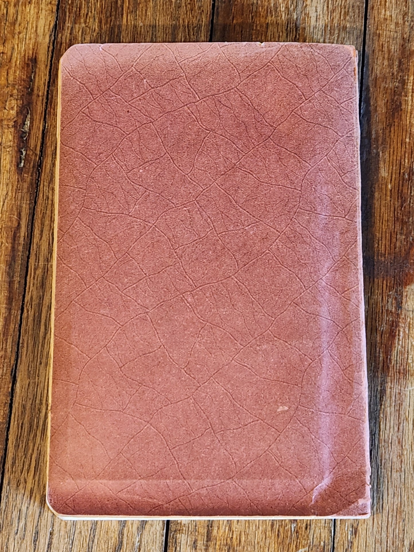 1913 Guide to Lucerne Switzerland – Lake & Environs Travel Book w/ Maps & Ads Souvenir