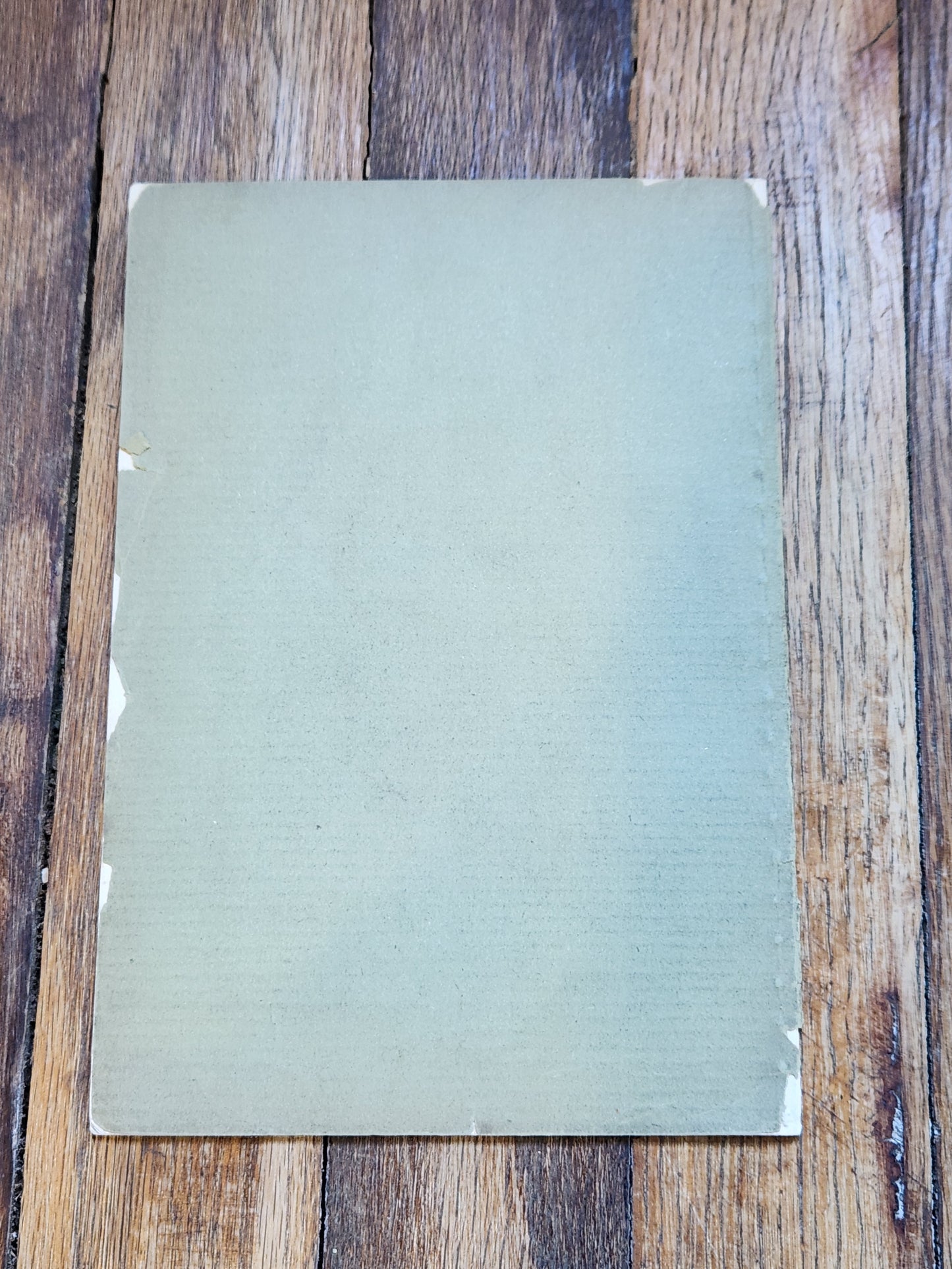 1885 Some Observations on the Letters of Amerigo Vespucci by M.F. Force – Early Americana, Exploration Pamphlet