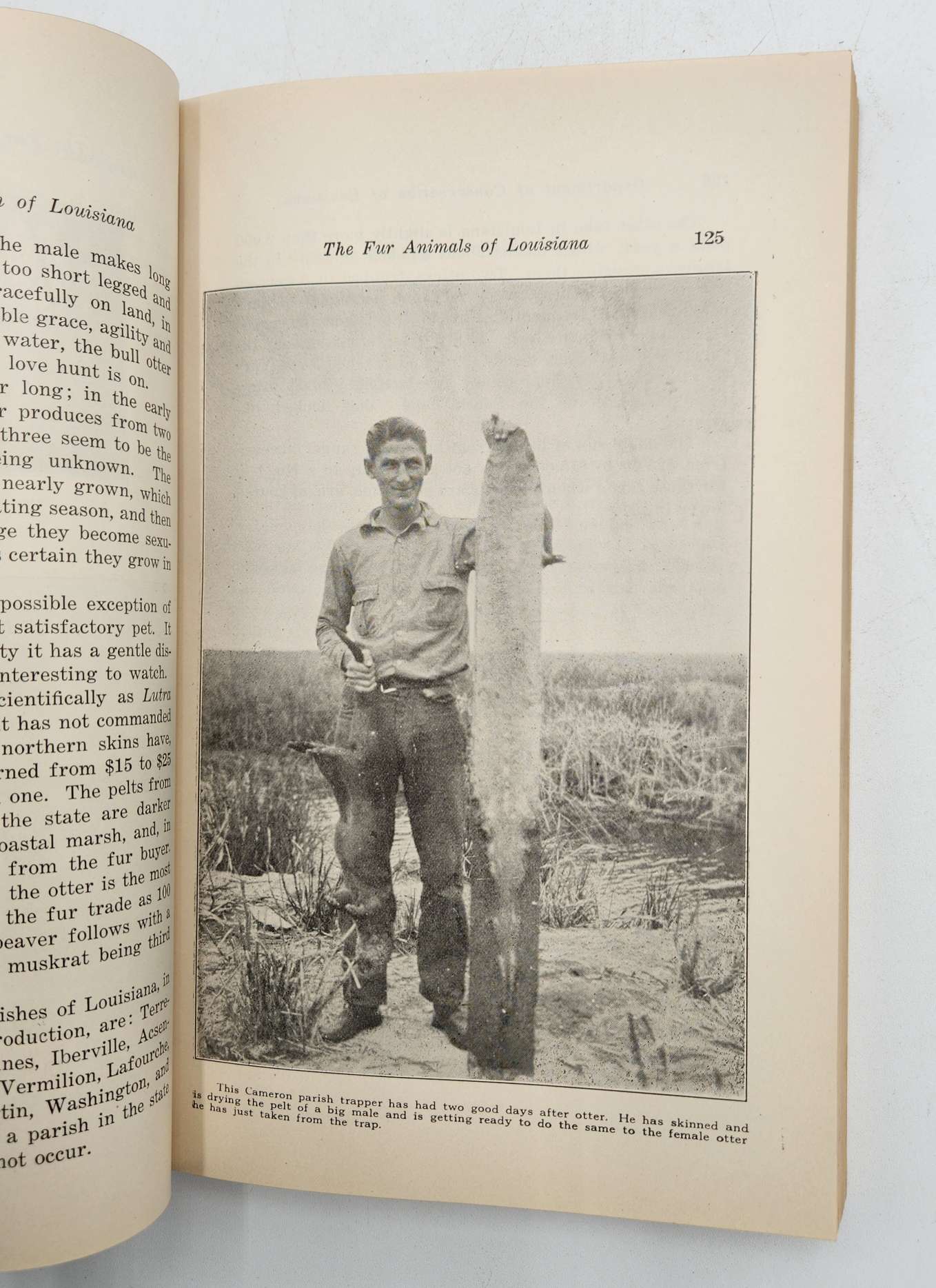 The Fur Animals of Louisiana - Bulletin No. 18, 1931