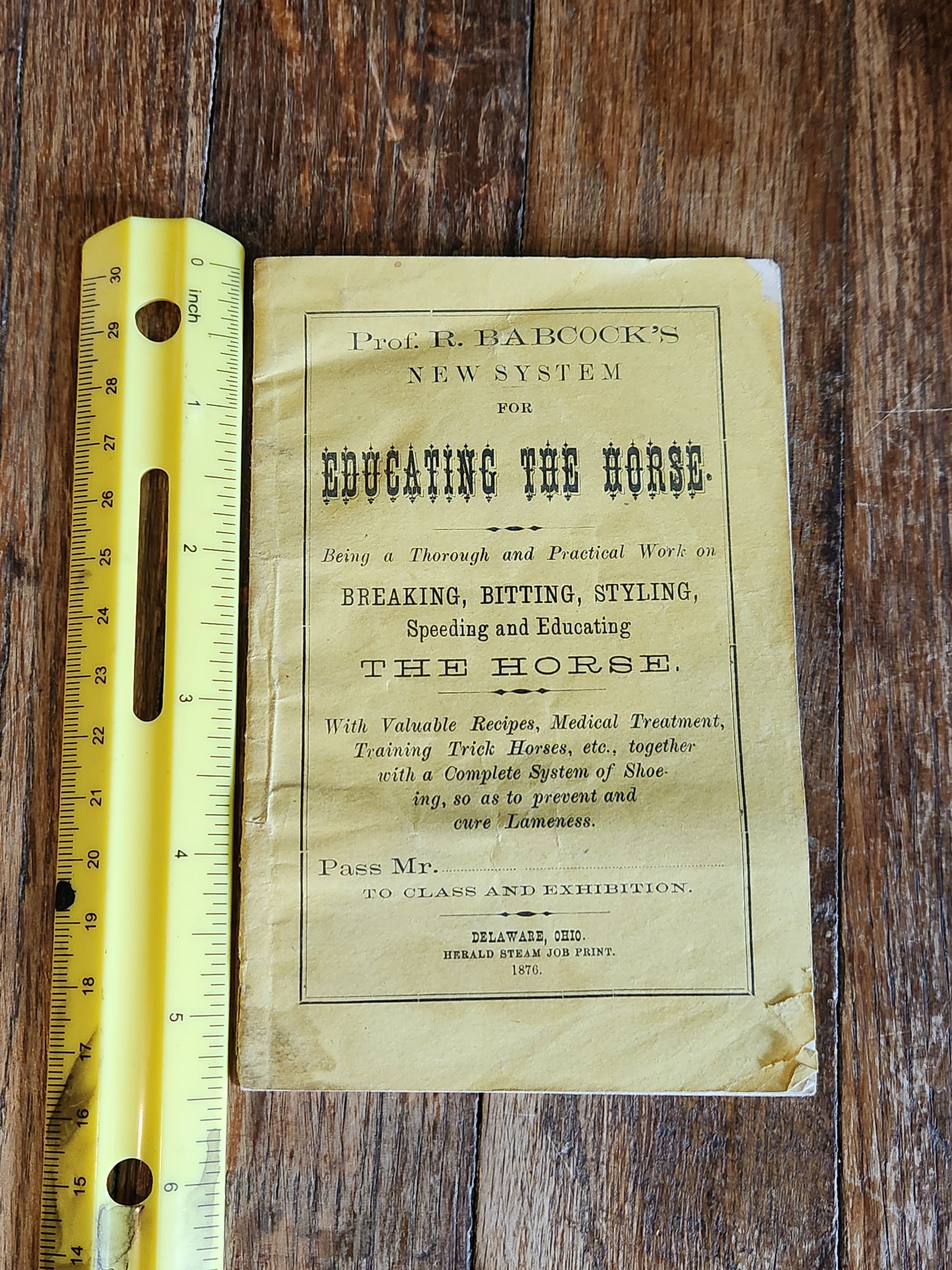 1876 Horse Training Manual Booklet – Babcock Educating the Horse Ohio