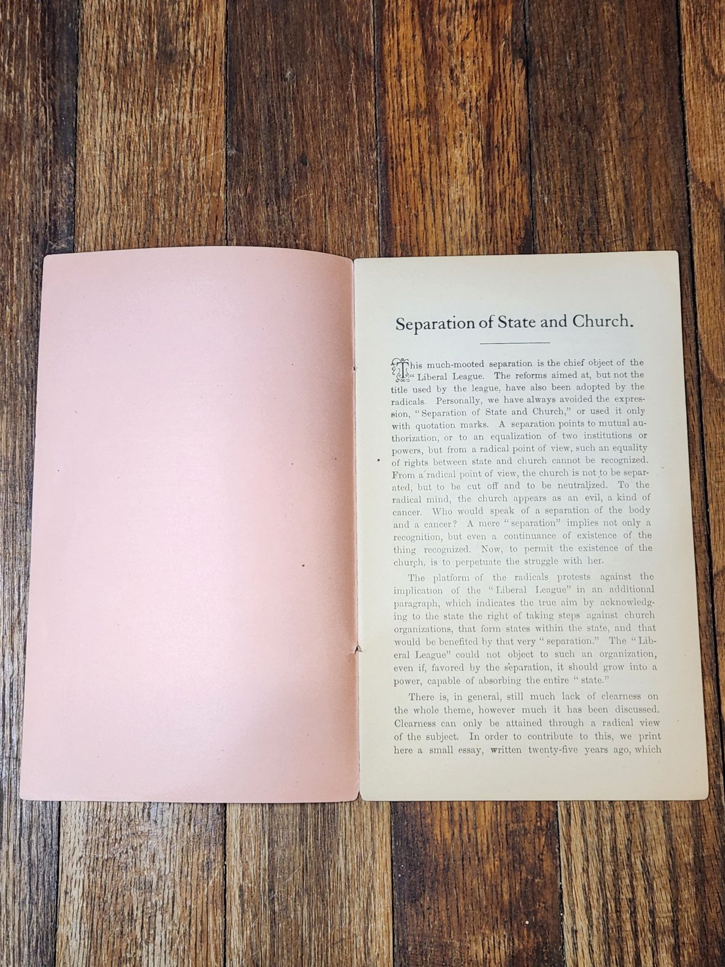 Separation of State and Church by Karl Heinzen 1882 Socialist Literature