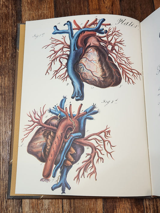 Charles Bell and the Origin of His Engravings of the Arteries