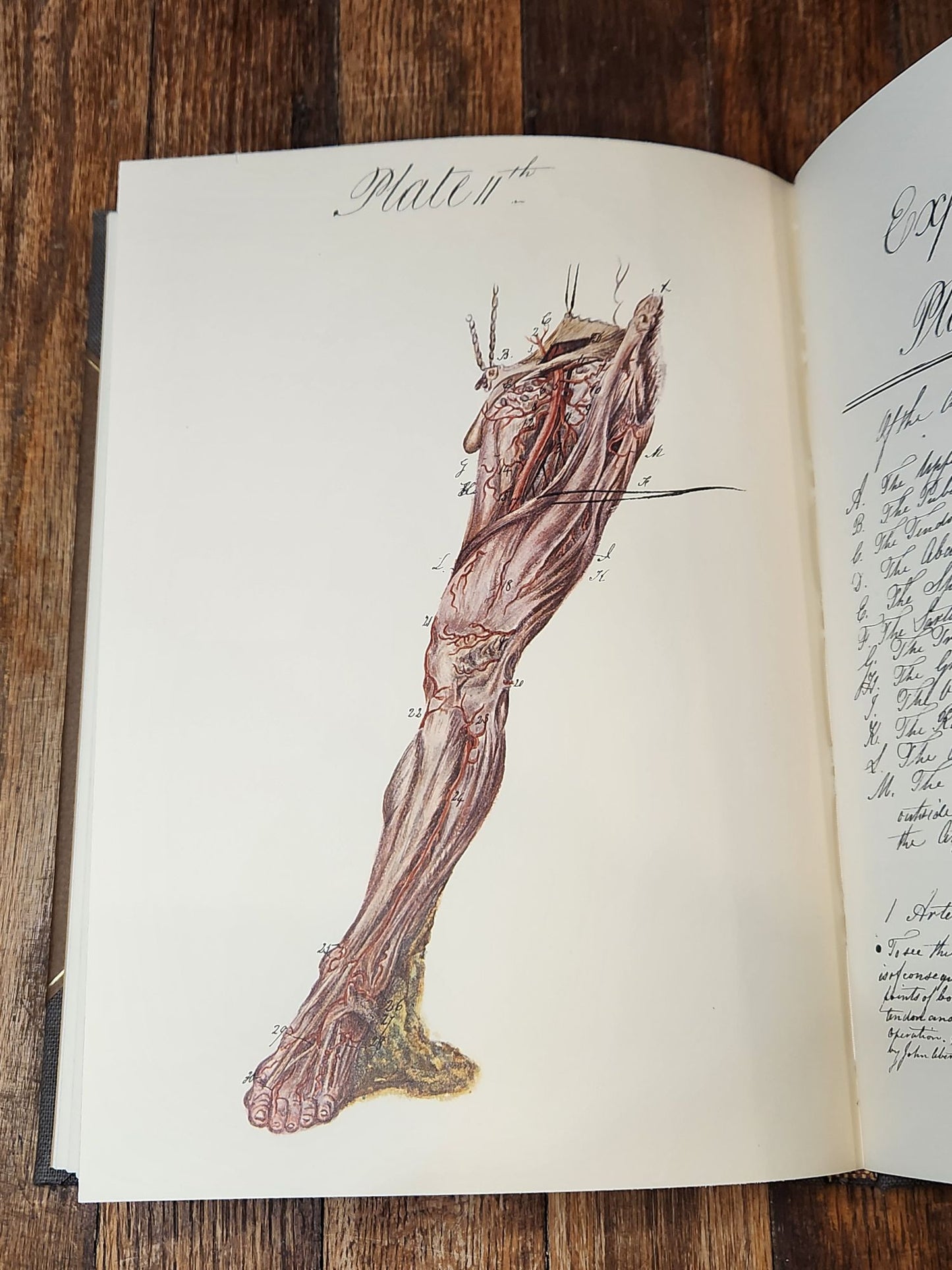 Charles Bell and the Origin of His Engravings of the Arteries