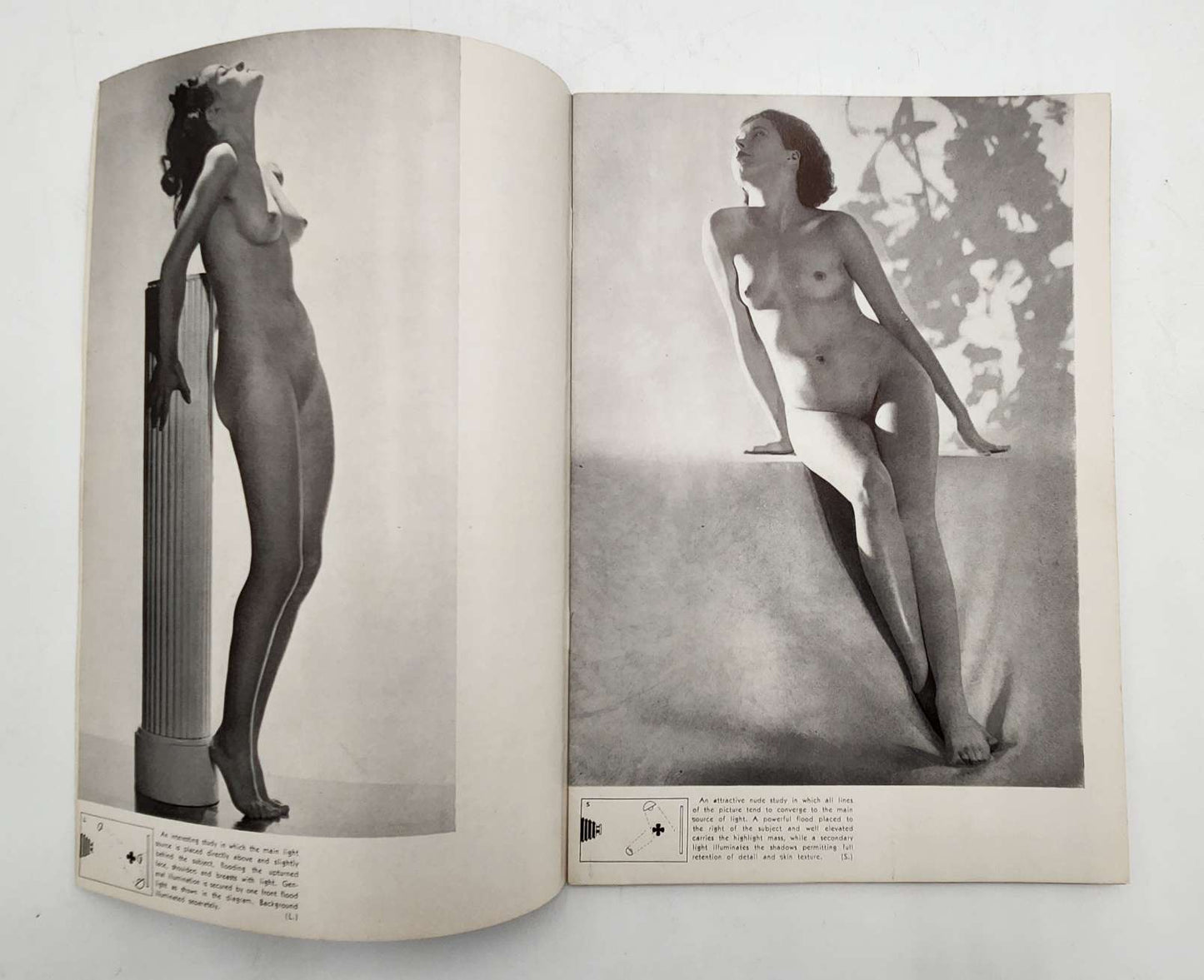 The Model Poses