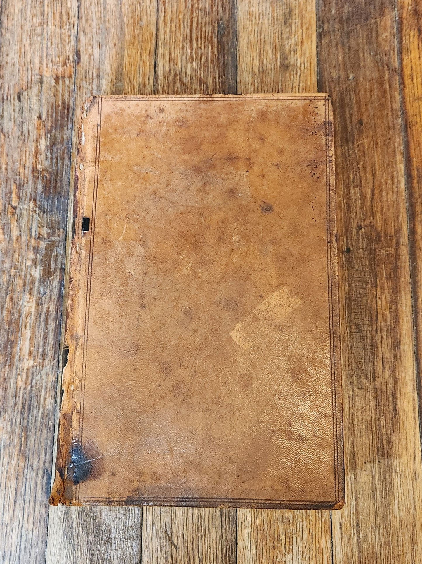 Martin's Reports of Cases Argued and Determined in the Supreme Court of the State of Louisiana Comprising Louisiana Term Reports, Vols. IV. & V.