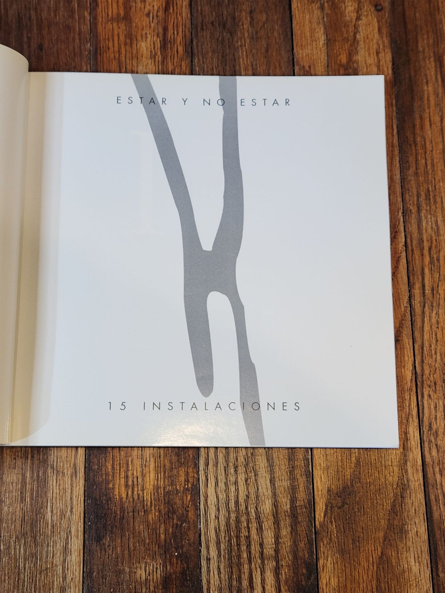 Estar Y No Estar 15 Instalaciones