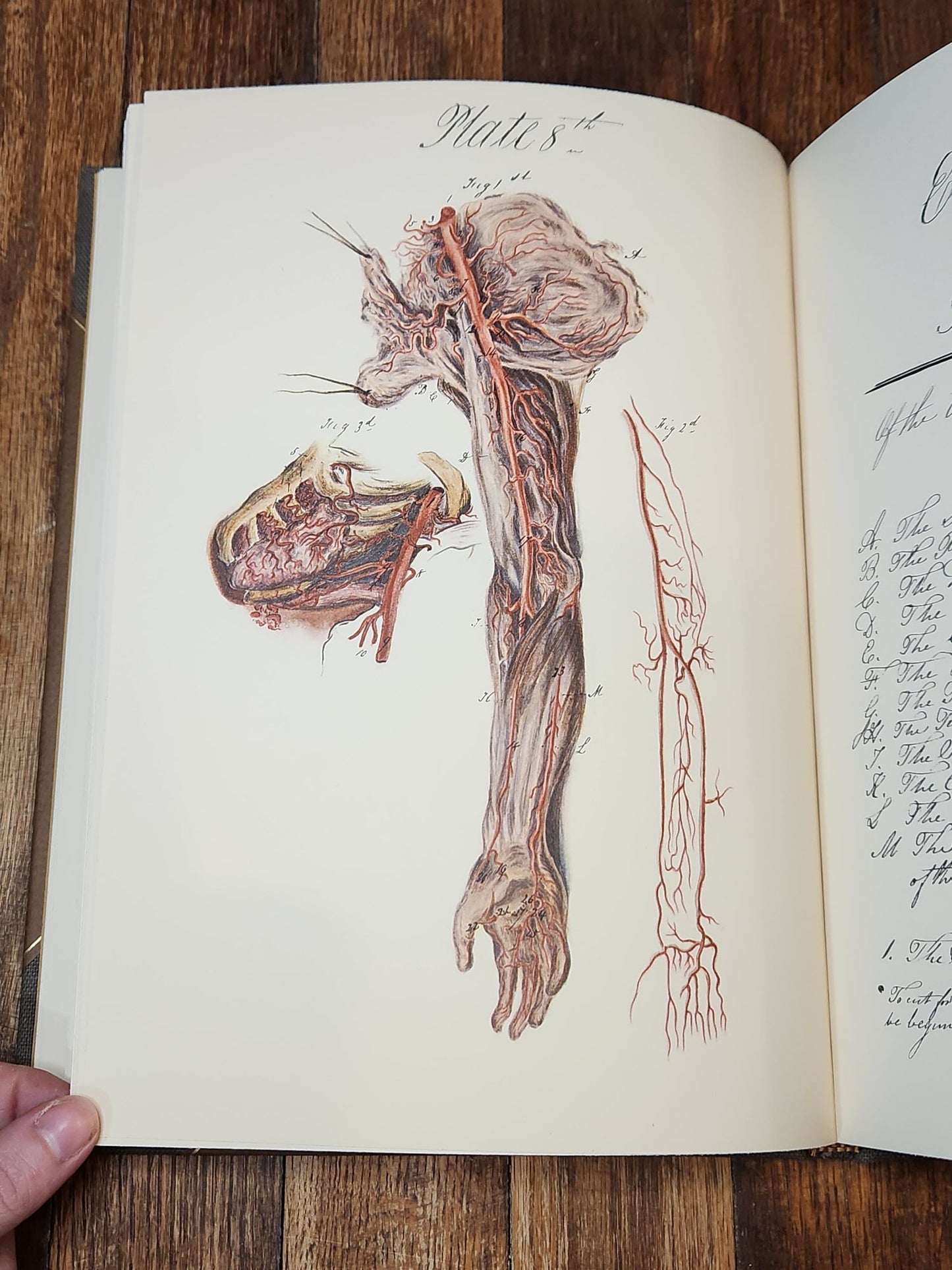 Charles Bell and the Origin of His Engravings of the Arteries
