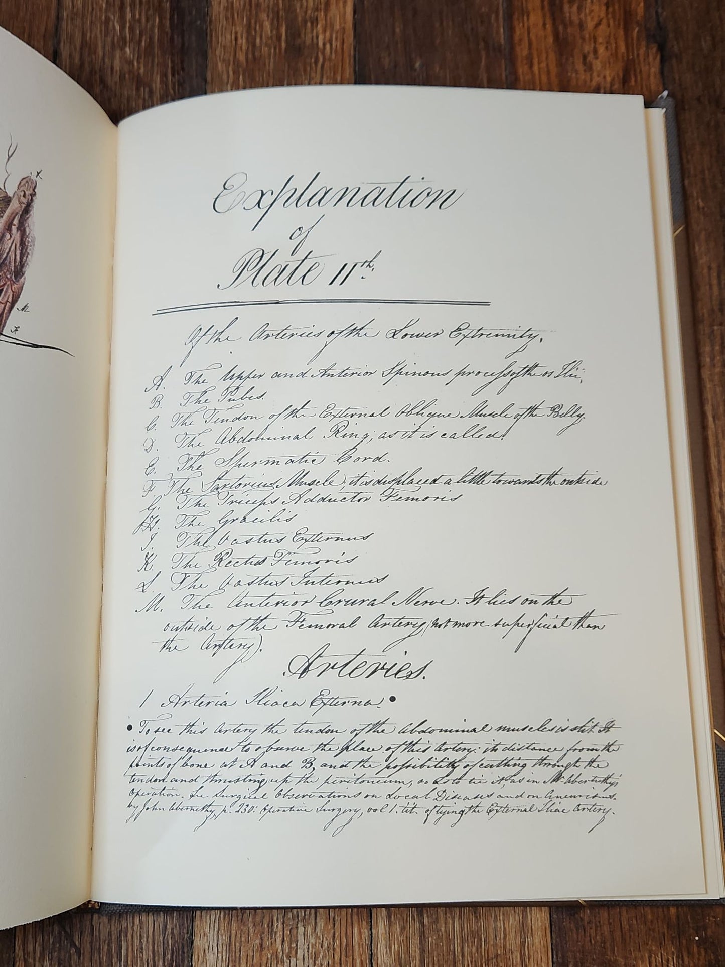 Charles Bell and the Origin of His Engravings of the Arteries