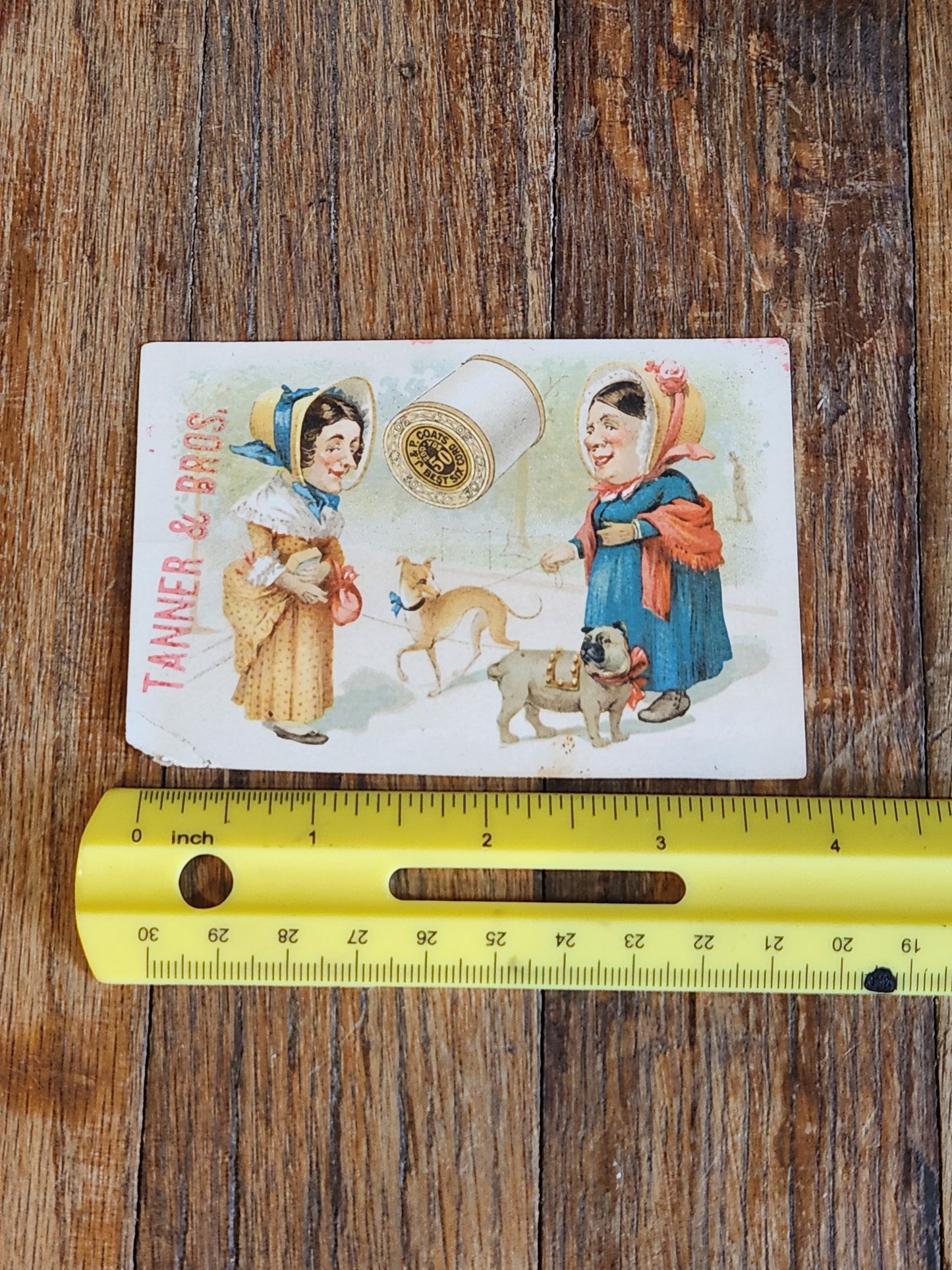 Victorian J & P Coats Thread Trade Card Dogs Pug Advertising Sewing 1880s