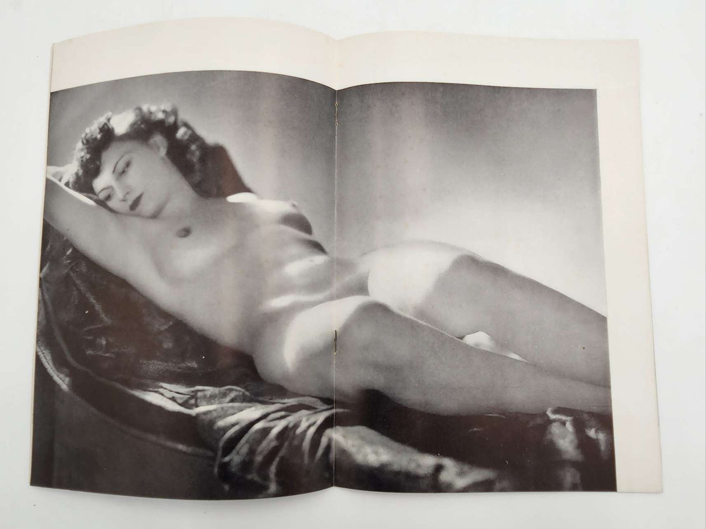 The Model Poses