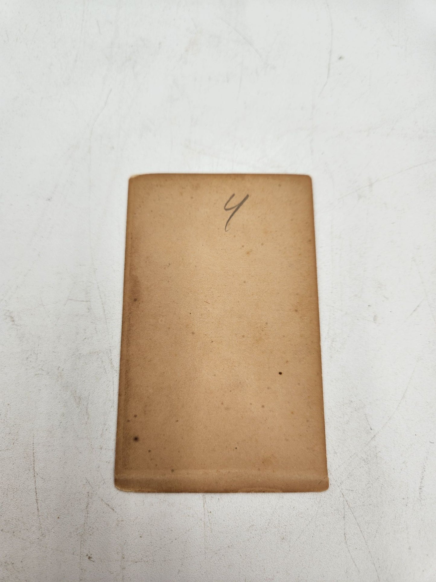 CDV Prince Wales and Family