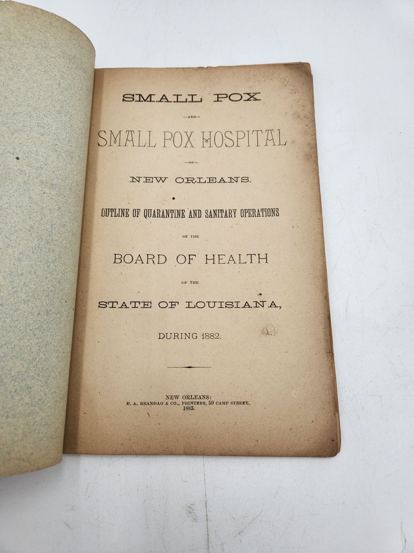 Small Pox and Small Pox Hospital of New Orleans. 1883