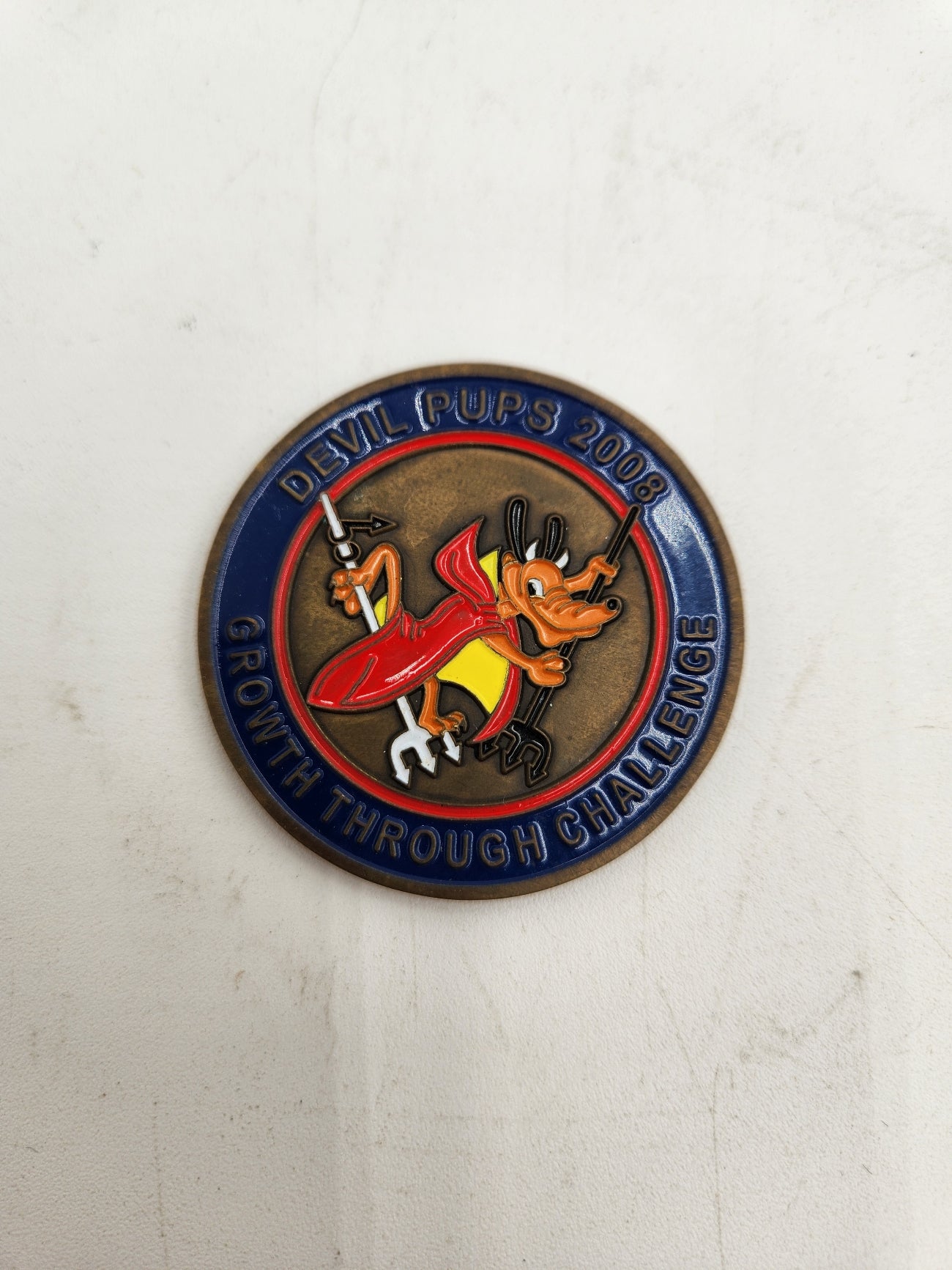 Devil Pups 2005 Camp Pendleton USMC Challenge Coin