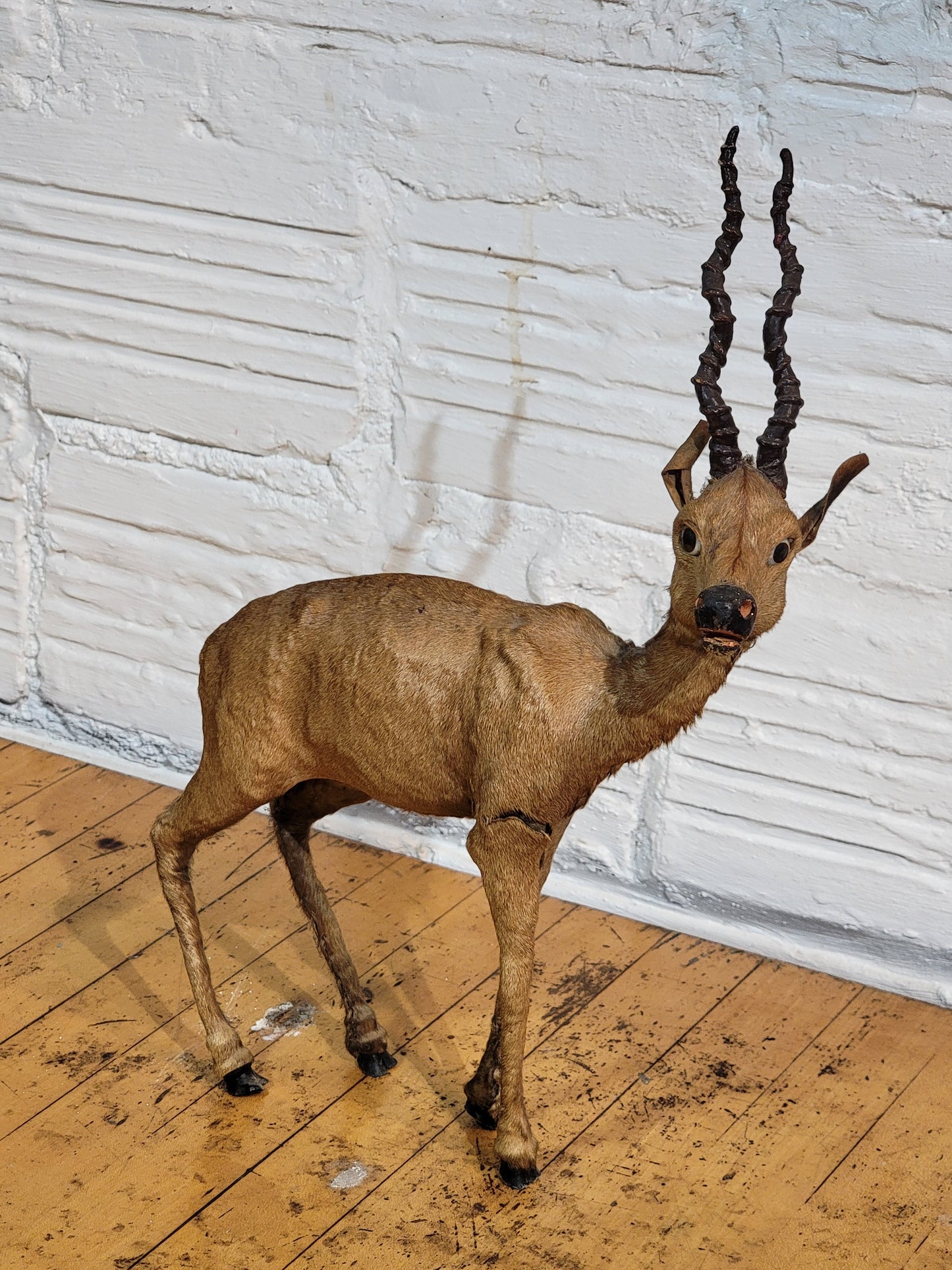 Handmade Impala with real fur