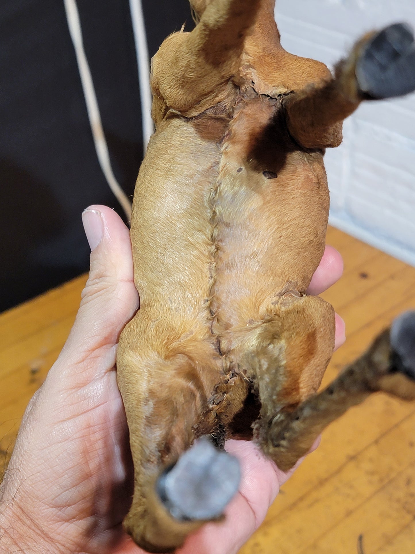 Handmade Impala with real fur