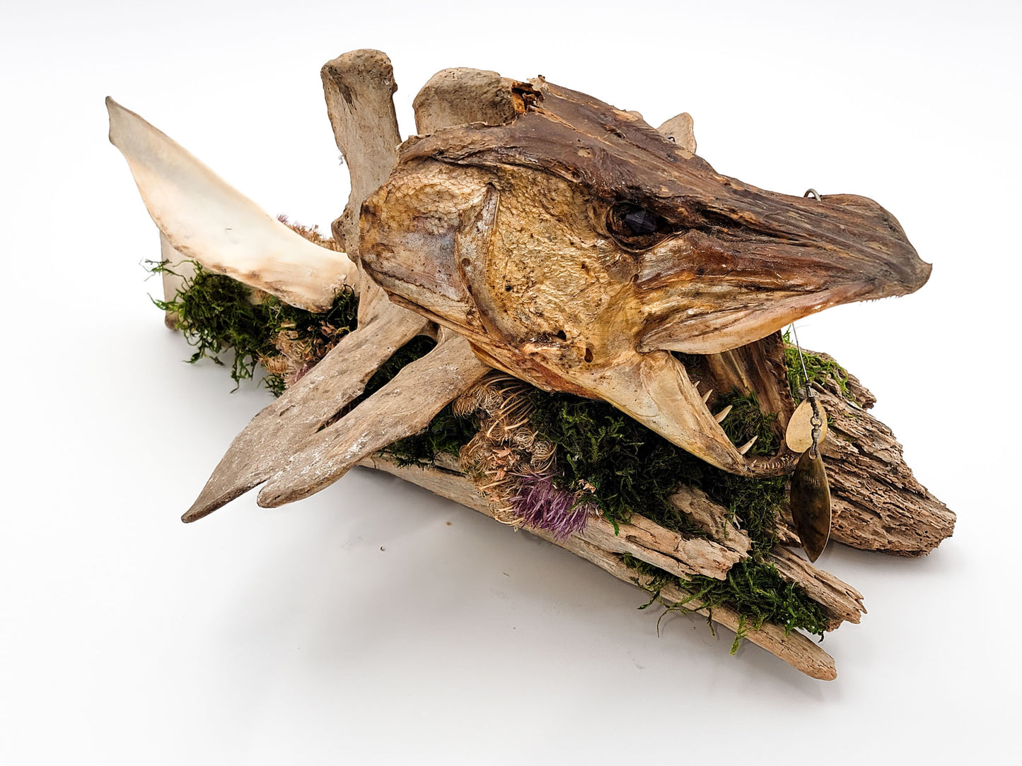 Wild Bone and Fish Assemblage Art