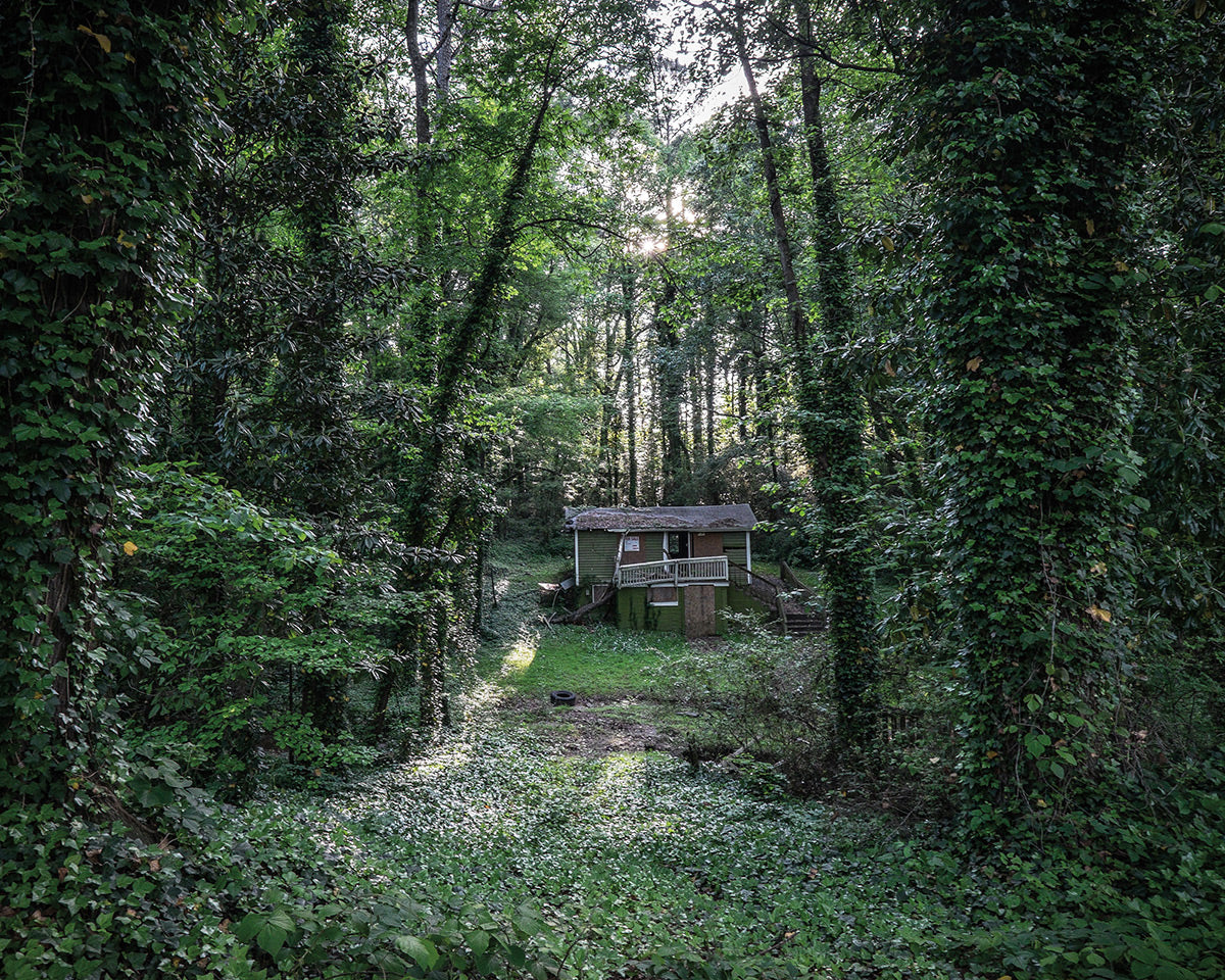 Georgia Kudzu