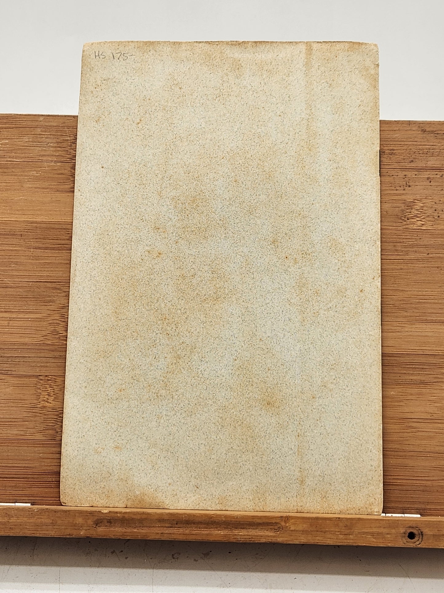 1905 German-American National Federation Constitution