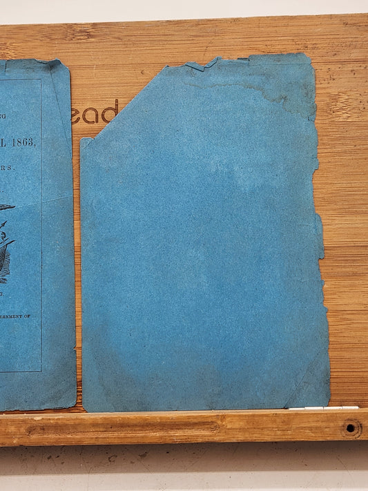 Rules for the Management and Cleaning of the Rifle Musket, Model 1863, for the Use of Soldiers with Descriptive Plates