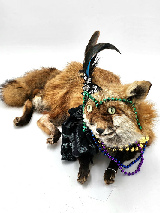 Derp the Mardi Gras Fox