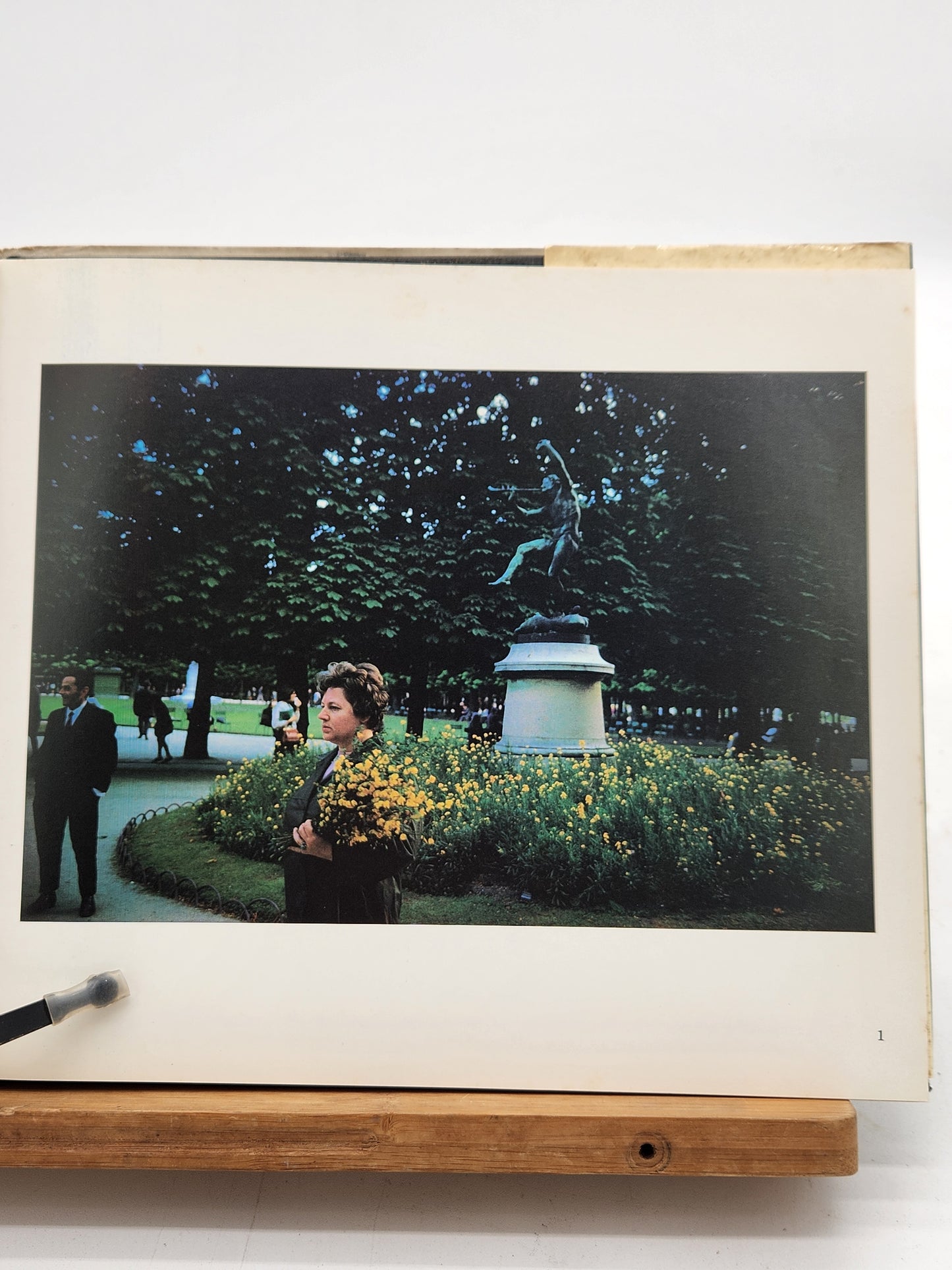 Joel Meyerowitz Wild Flowers 1983 first edition photography book with color plates. Notable street photography work—foxing present.