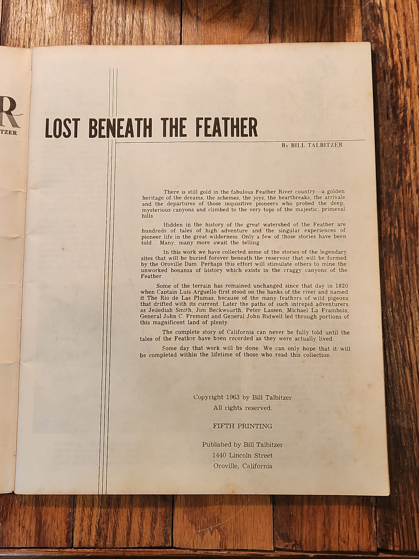 Lost Beneath the Feather by Bill Talbitzer