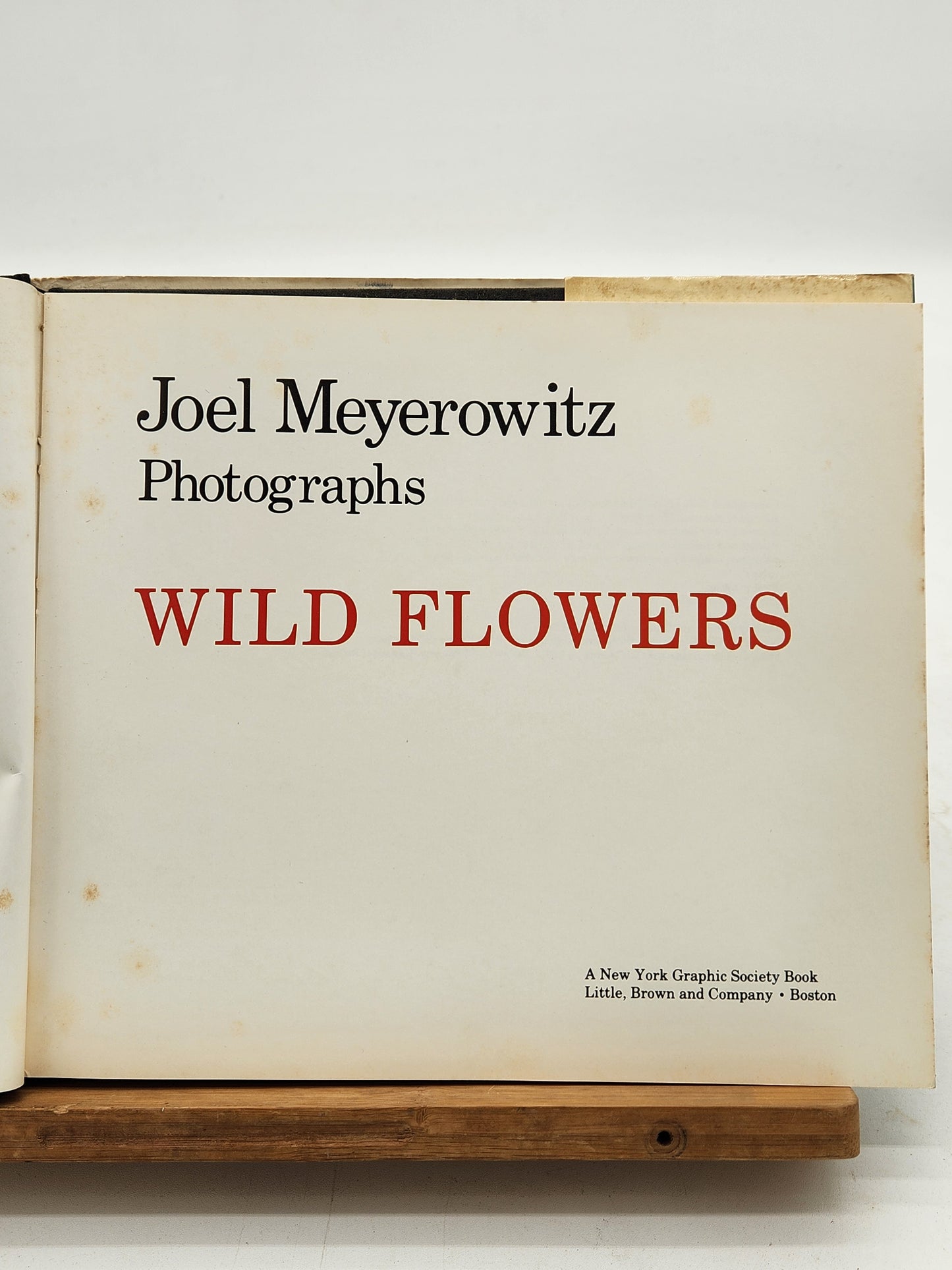 Joel Meyerowitz Wild Flowers 1983 first edition photography book with color plates. Notable street photography work—foxing present.
