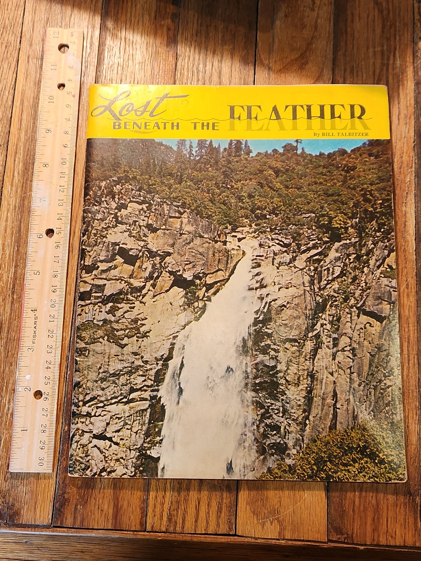Lost Beneath the Feather by Bill Talbitzer
