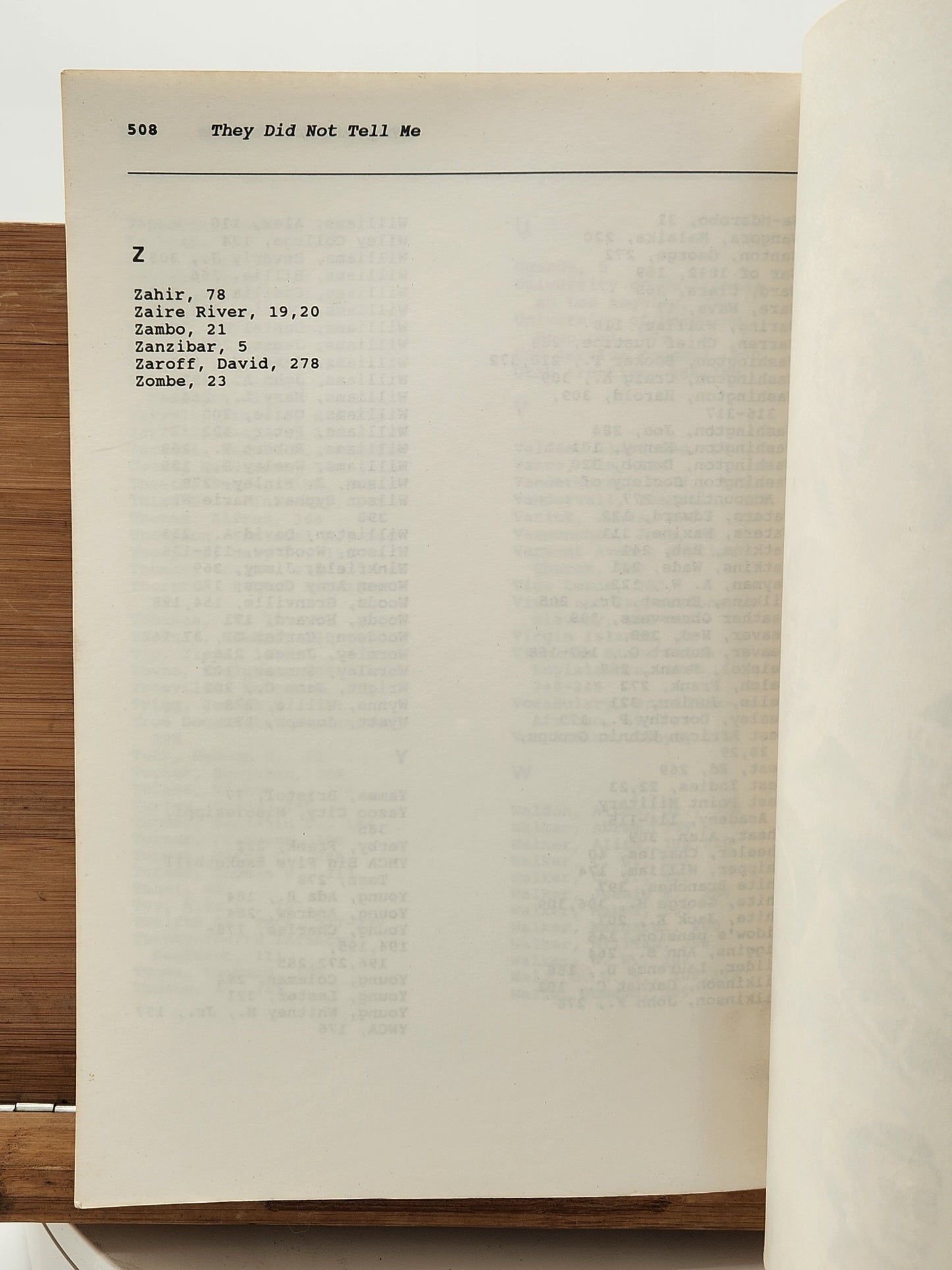 They Did Not Tell Me True Facts – Robert Ewell Greene (1992) African American History