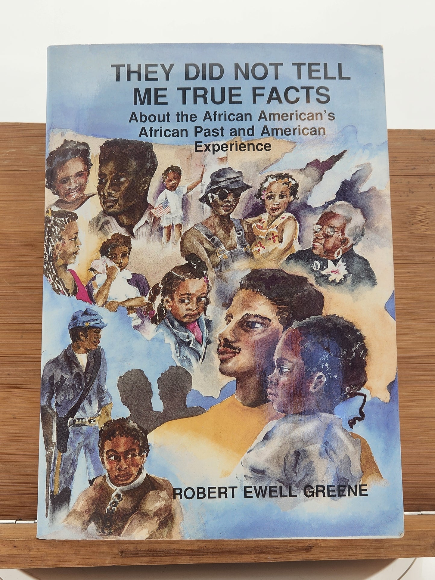They Did Not Tell Me True Facts – Robert Ewell Greene (1992) African American History