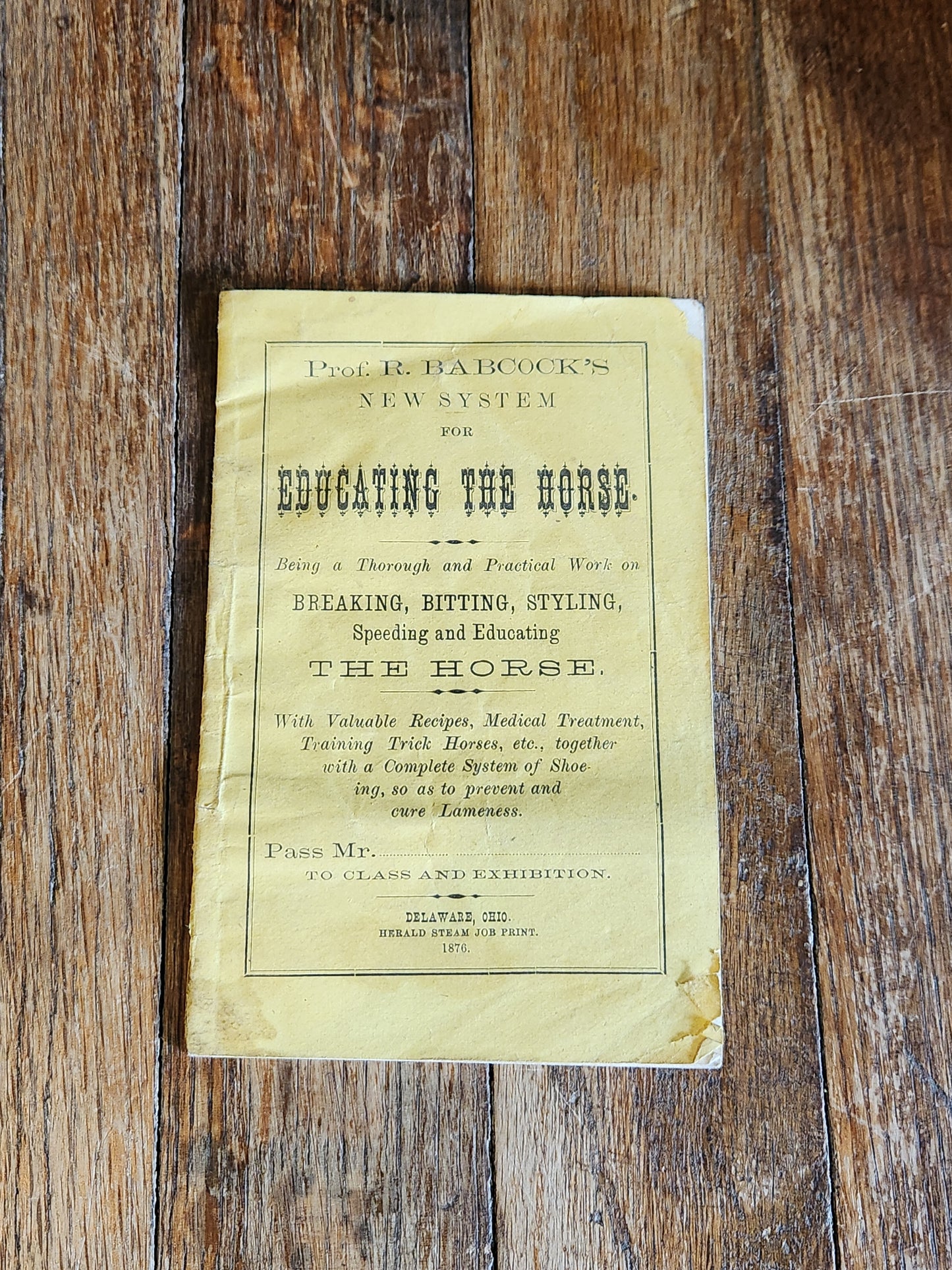 1876 Horse Training Manual Booklet – Babcock Educating the Horse Ohio
