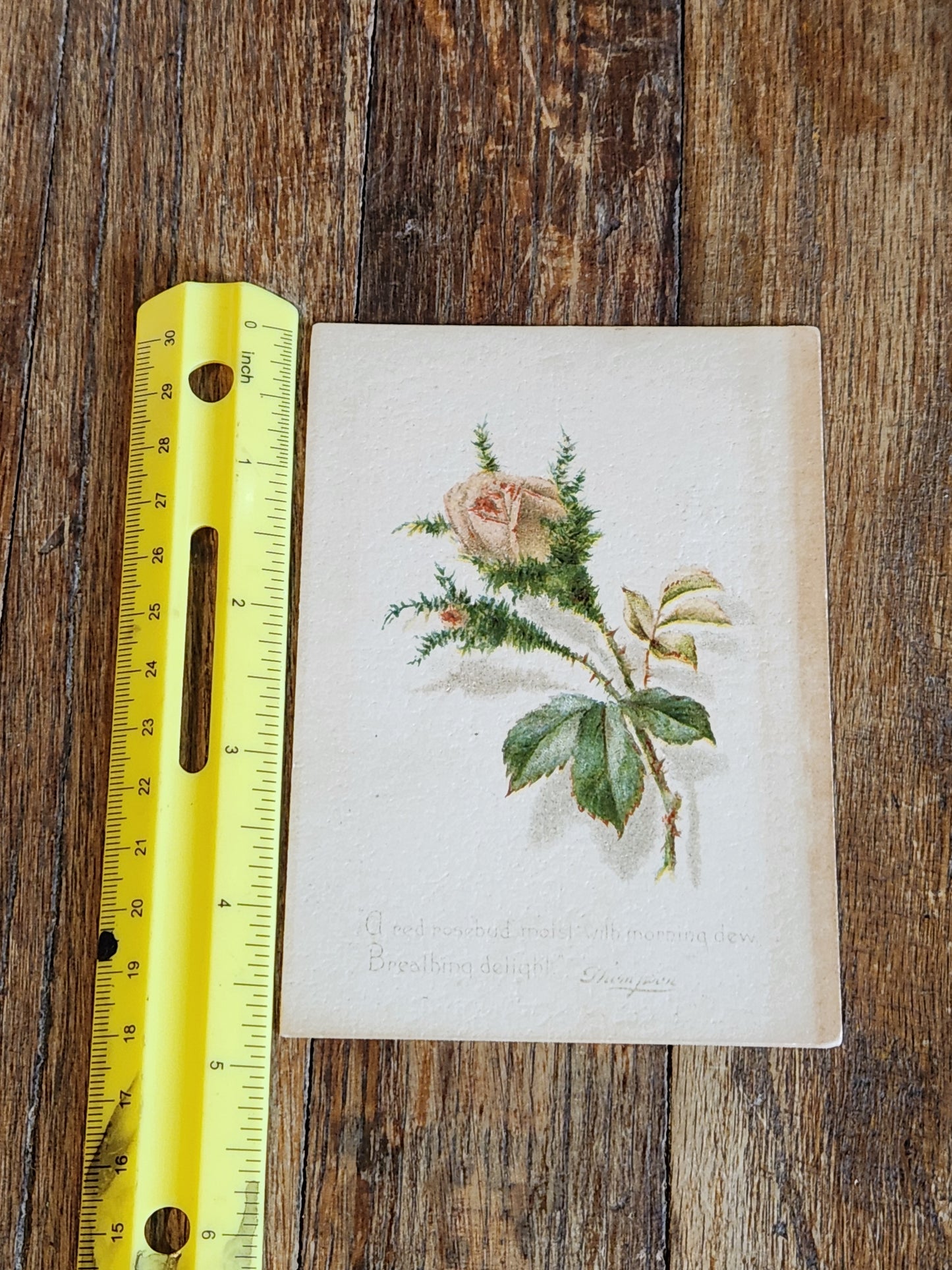 Victorian Lazell’s Perfumes Advertising Booklet c1890 – Florida Water, Rose, Botanical