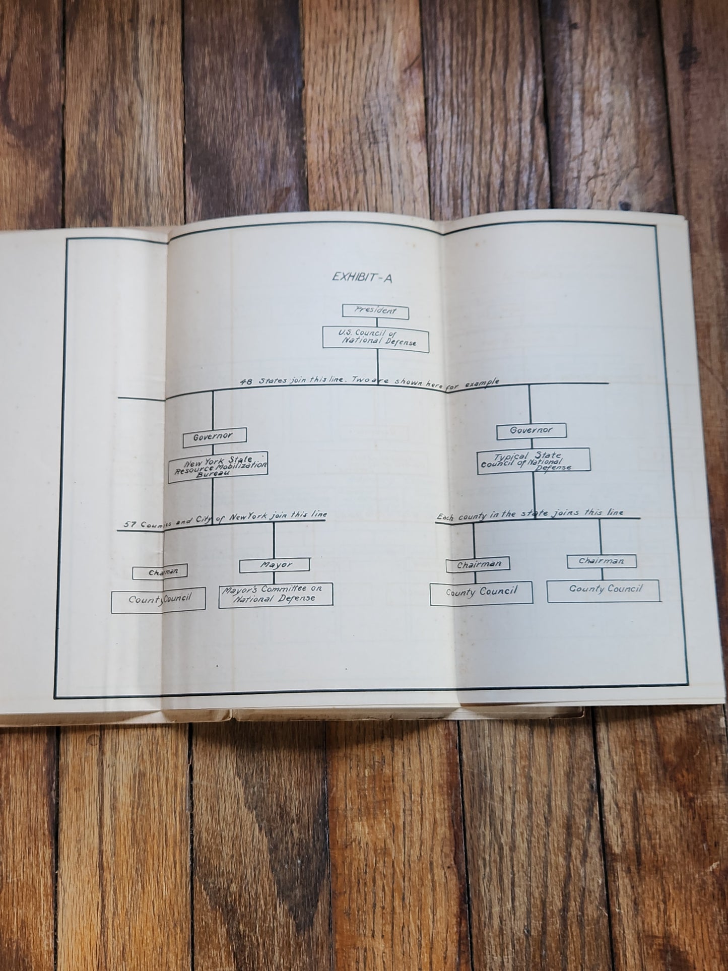 1917 Report to War Committee of The Lawyers Club NYC — WWI Resource Organization Charts & Recommendations — Charles Evans Hughes, Hamilton Fish Jr.