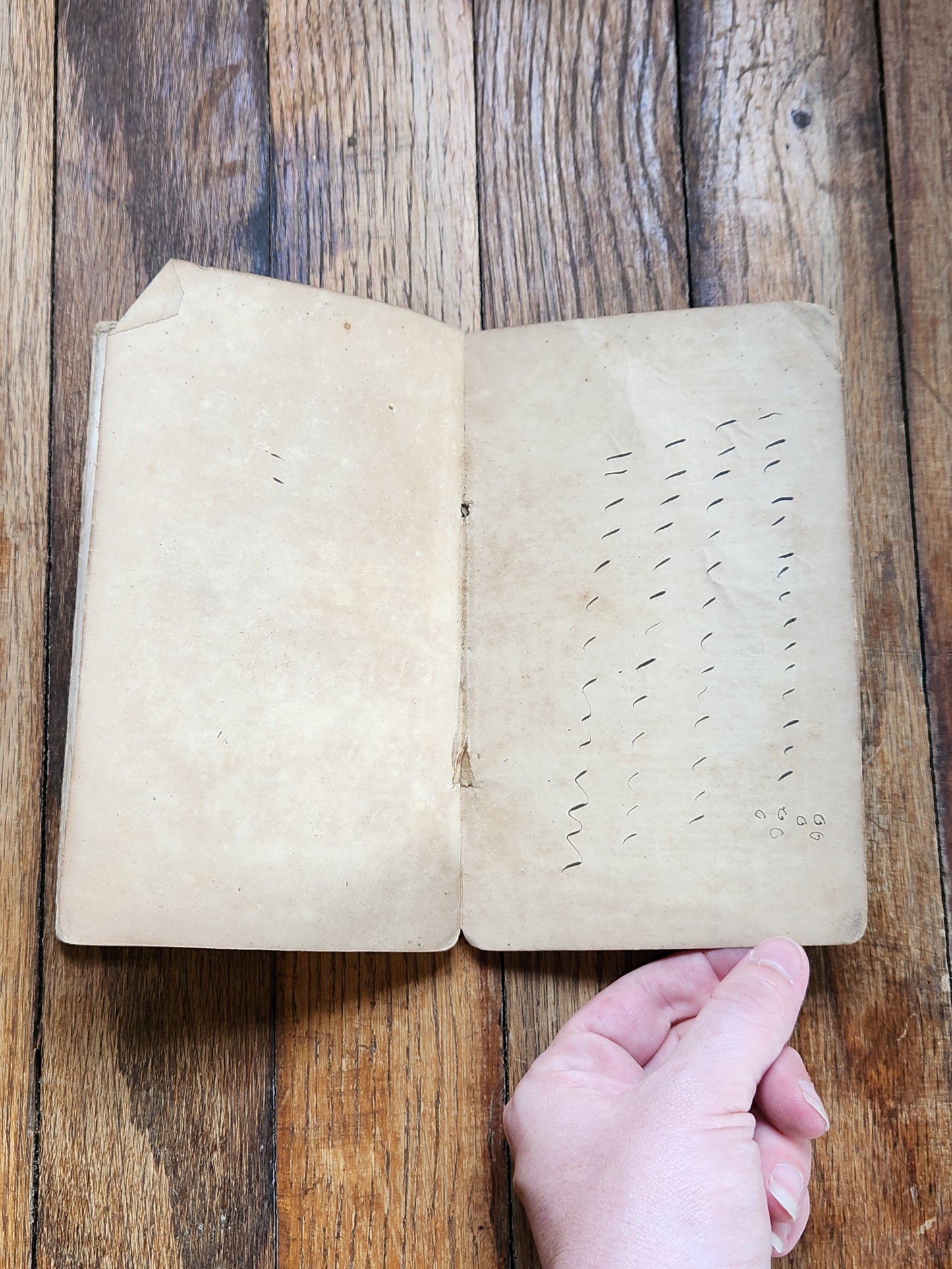 1844 Lady’s Self-Instructor in Millinery & Mantua Making Antique Sewing Fashion Book Burgess Stringer