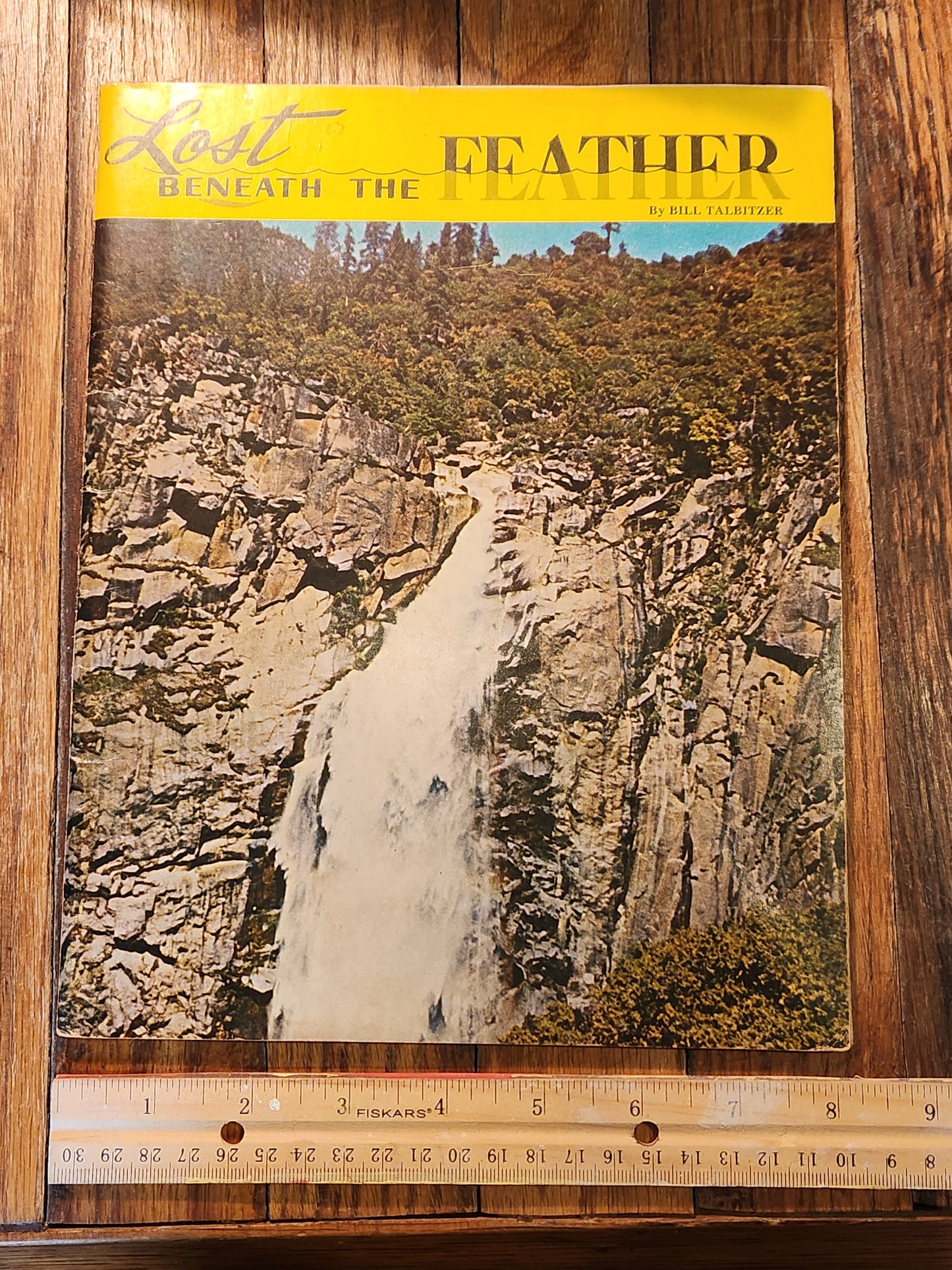 Lost Beneath the Feather by Bill Talbitzer