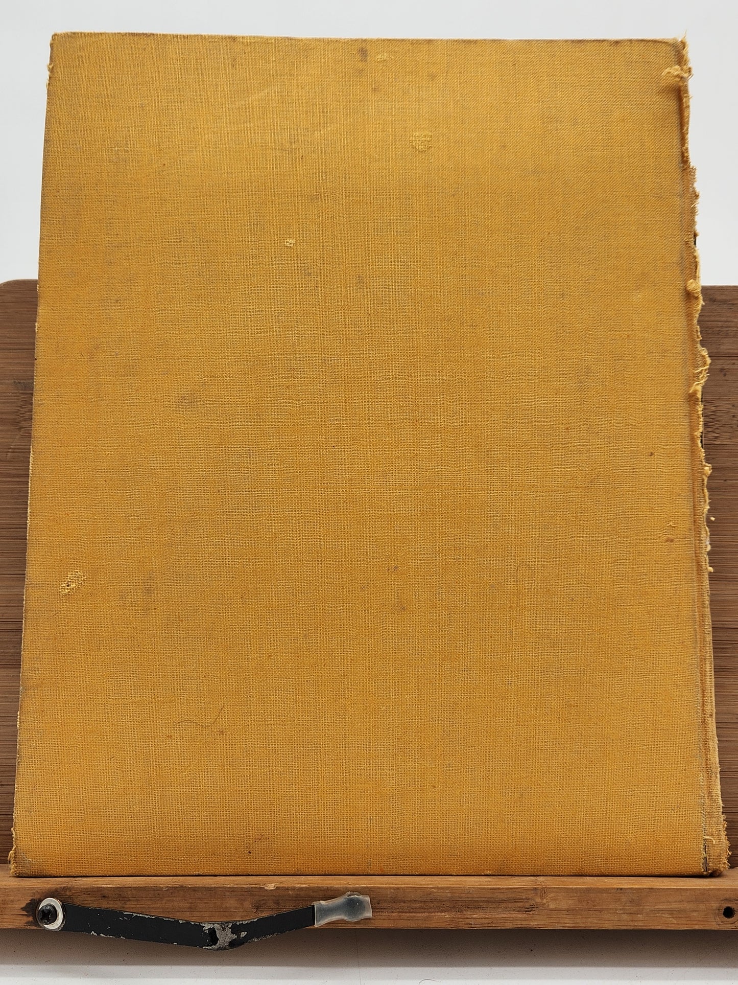 1920 Limited Edition Julius Diez Art Book