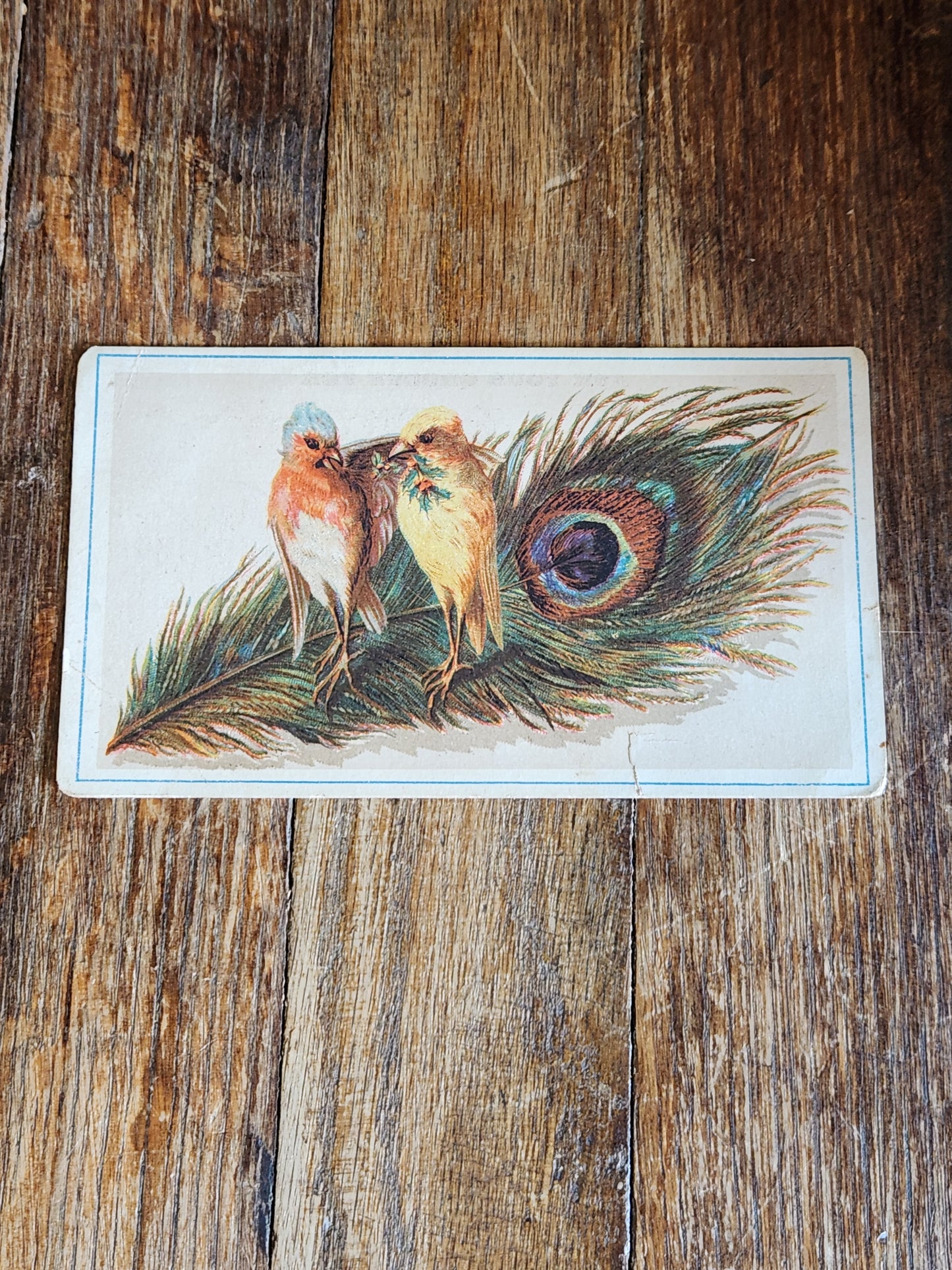 Victorian Trade Card Gabel & Frisby Neptune Coffee Spices Cleveland Ohio 1880s