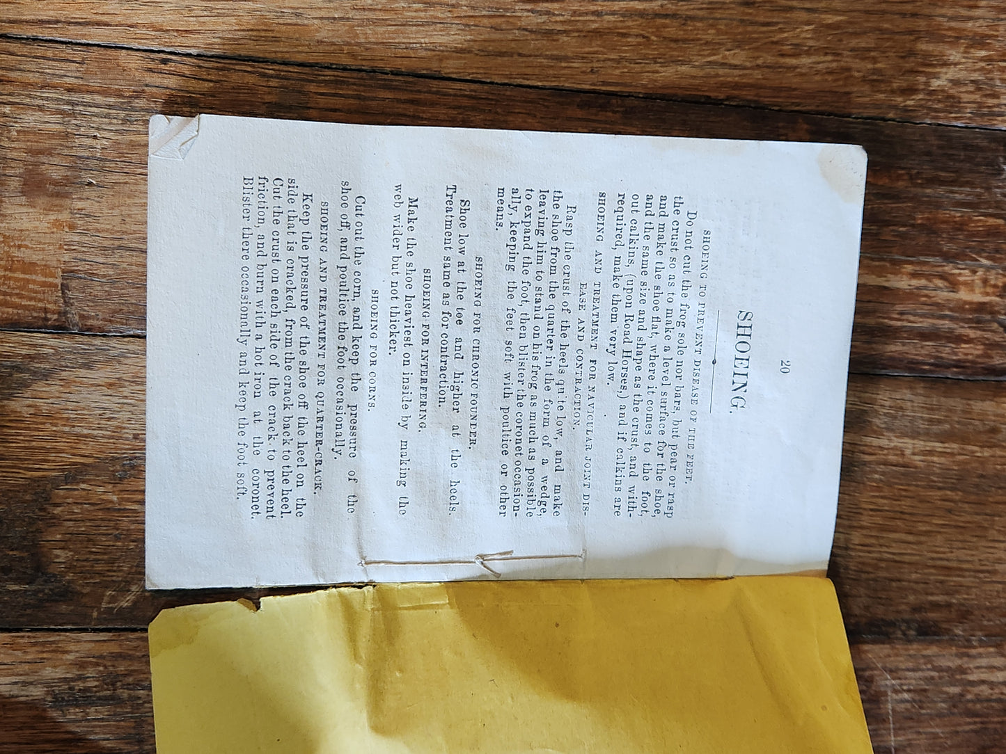 1876 Horse Training Manual Booklet – Babcock Educating the Horse Ohio