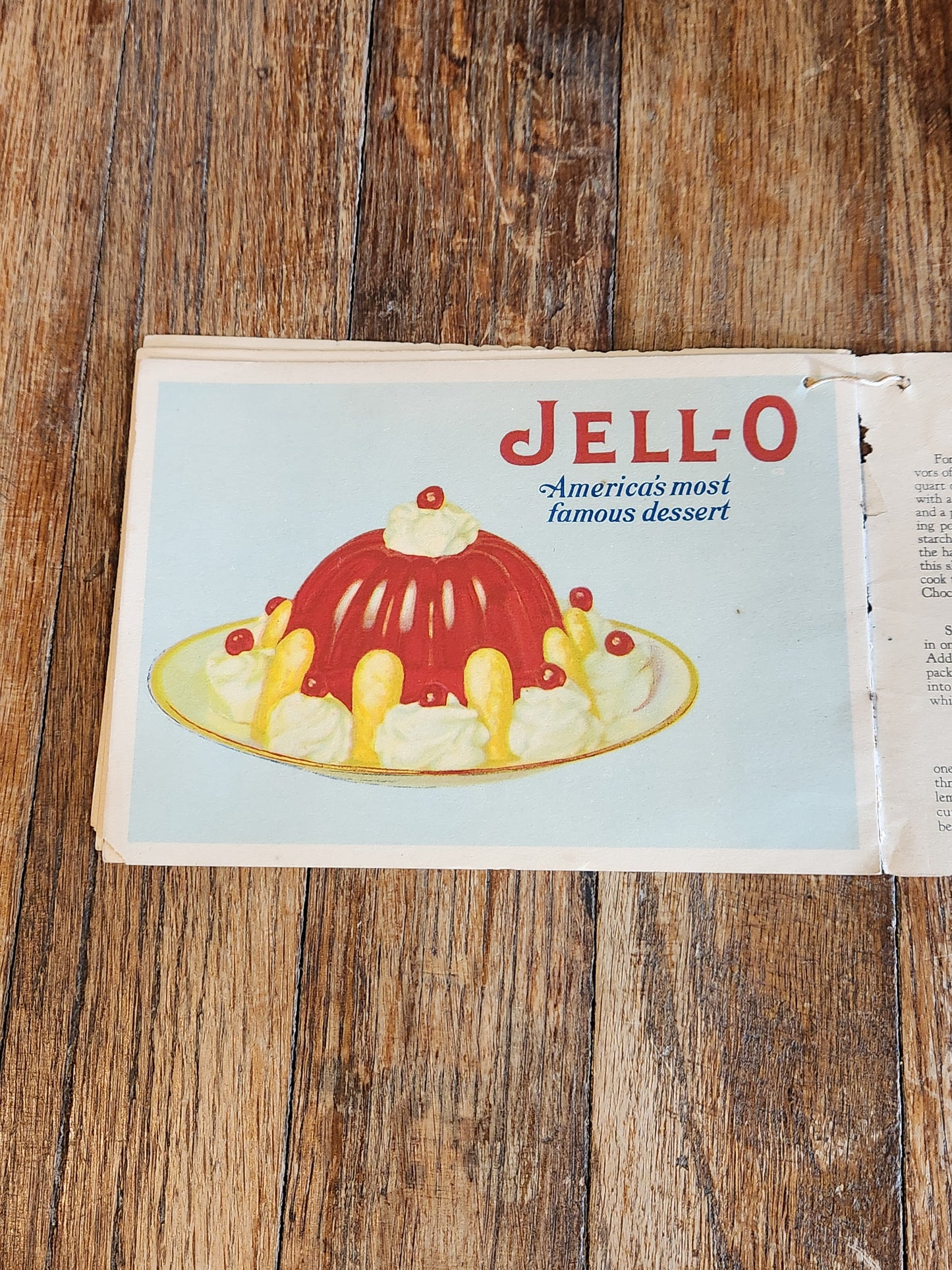Antique Jell-O Ice Cream Powder Recipe Booklet c1920s Color Lithographs