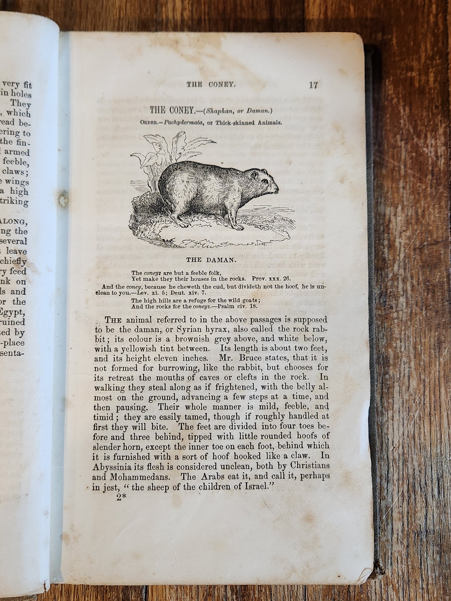 Scripture Natural History Philadelphia: Presbyterian Board of Publication, 1854