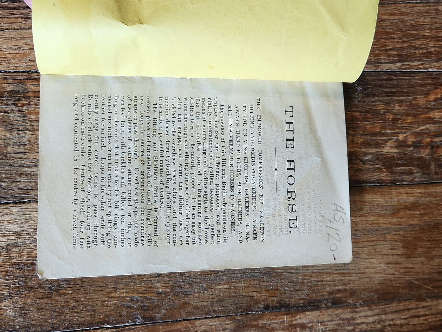 1876 Horse Training Manual Booklet – Babcock Educating the Horse Ohio