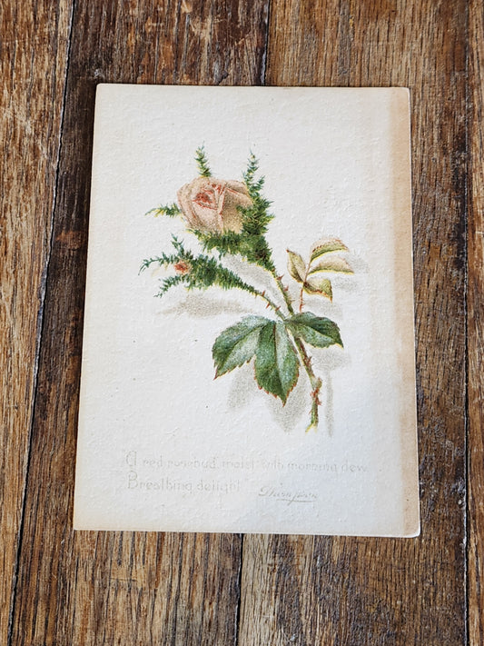 Victorian Lazell’s Perfumes Advertising Booklet c1890 – Florida Water, Rose, Botanical