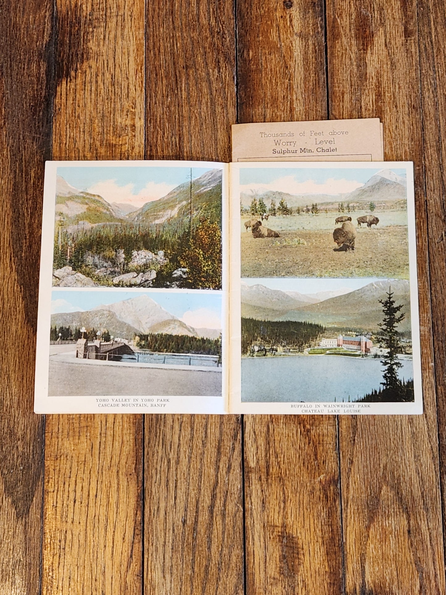 Vintage Canadian Rockies Souvenir Guide w/ Sulphur Mountain Chalet "Alpine Transport" Brochure – Banff Canada c.1930s