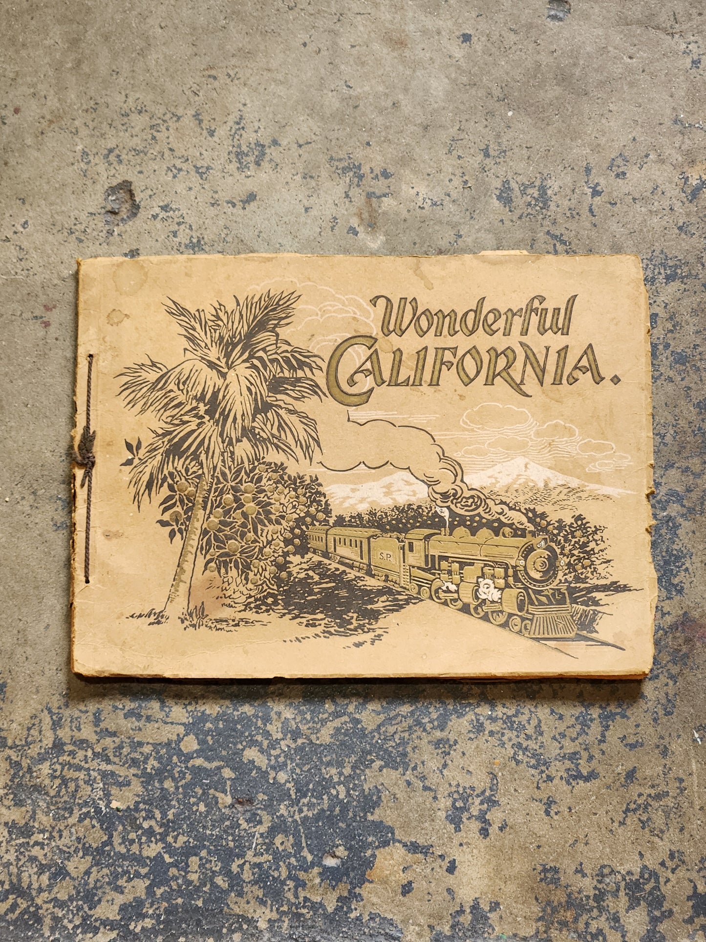 Wonderful California c.1910 Southern Pacific Railroad Photo View Book – Early Travel Souvenir