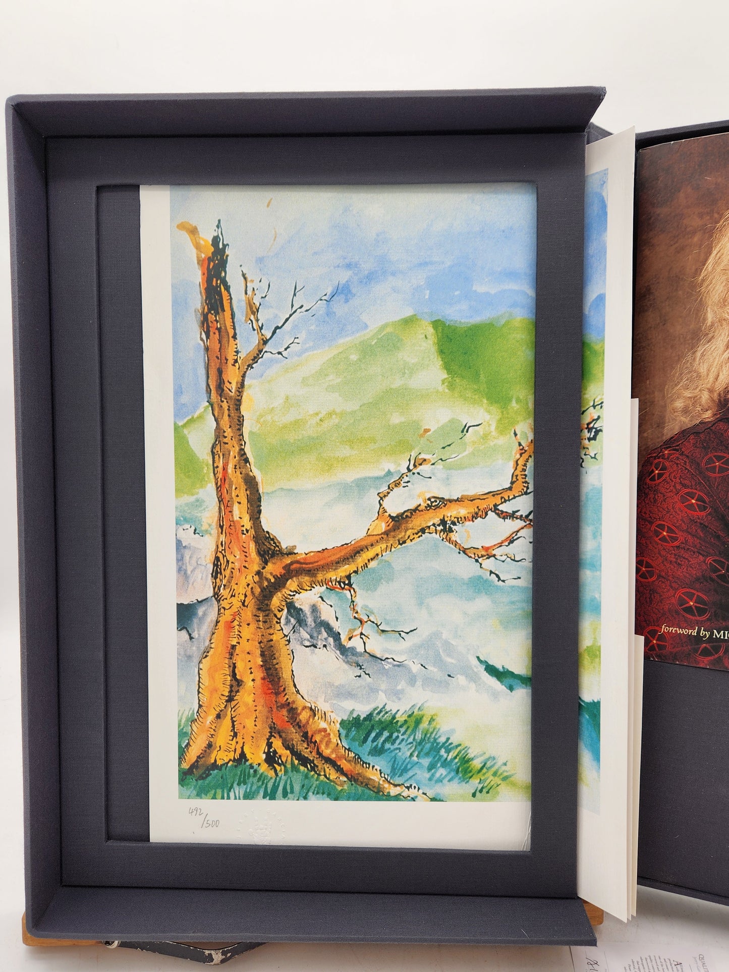 Jerry Garcia The Collected Artwork Museum Edition Box Set + Irish Tree Print 492/500