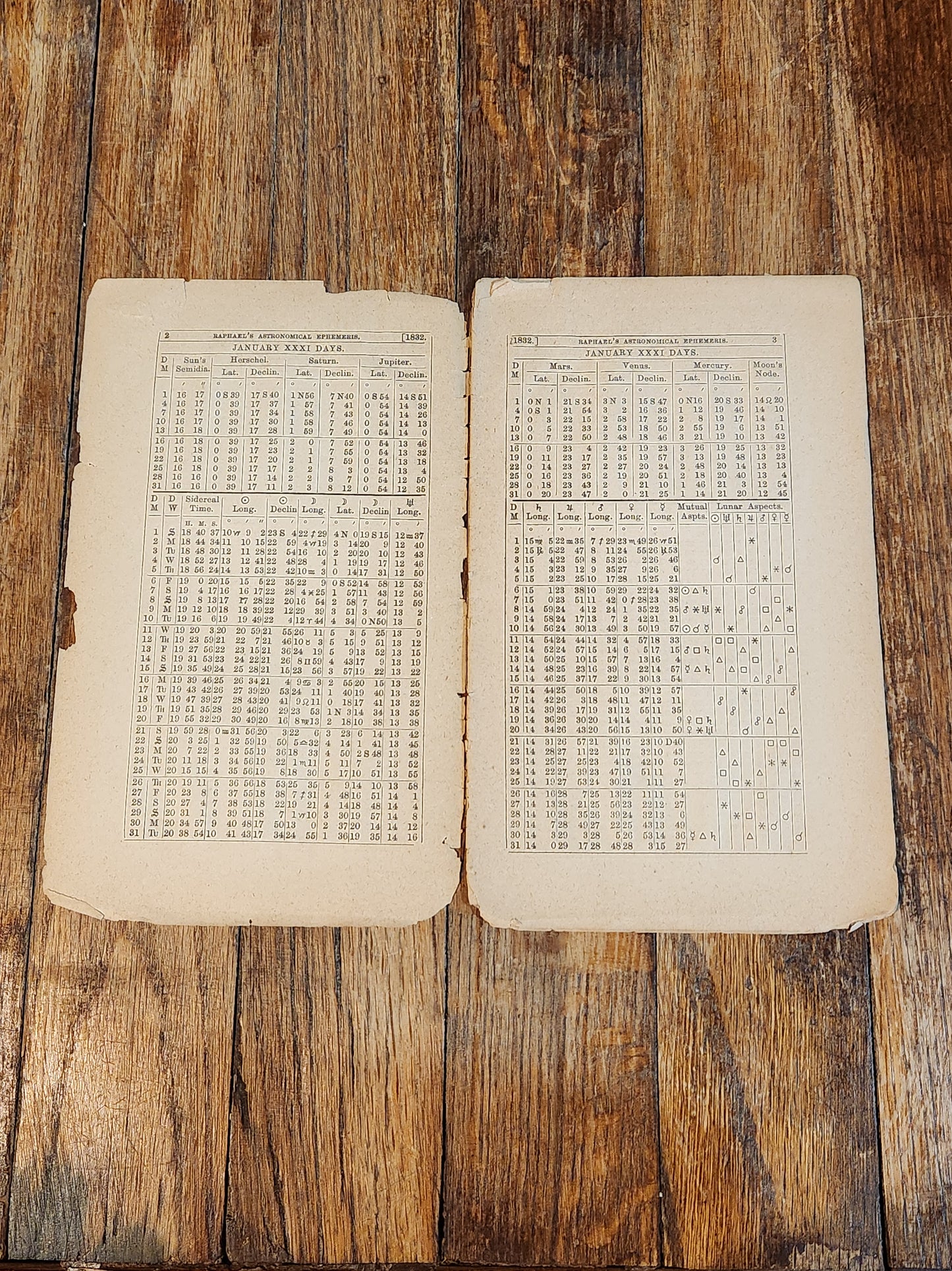 Victorian Menstrual Hygiene Pamphlet – E-Z Sanitary Belt – c1890s Medical